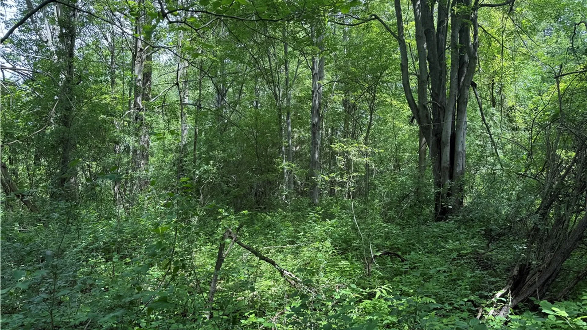 Property at 0 Shelby Barre Townline Road, Barre, NY 14411 20