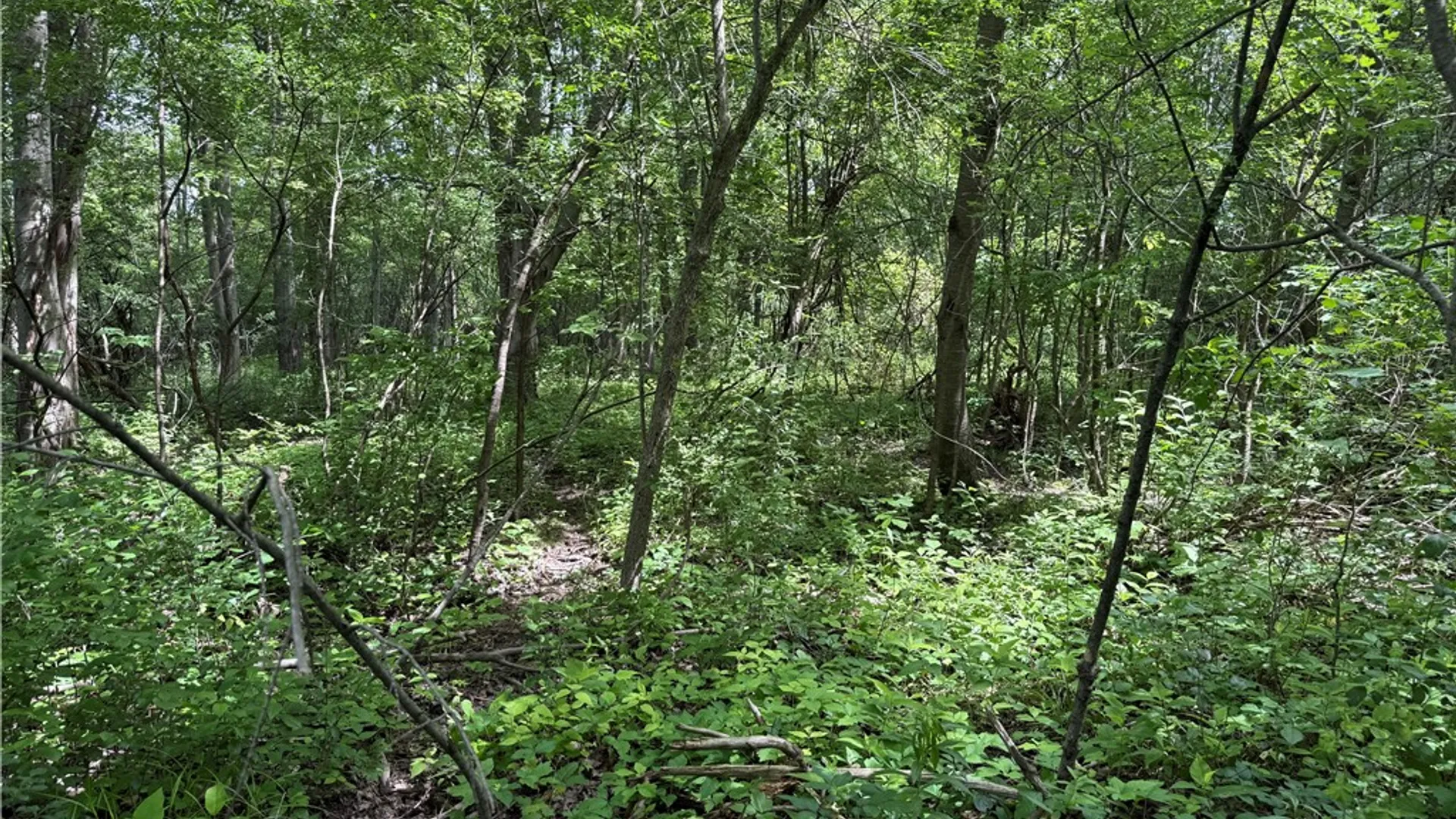 Property at 0 Shelby Barre Townline Road, Barre, NY 14411 21