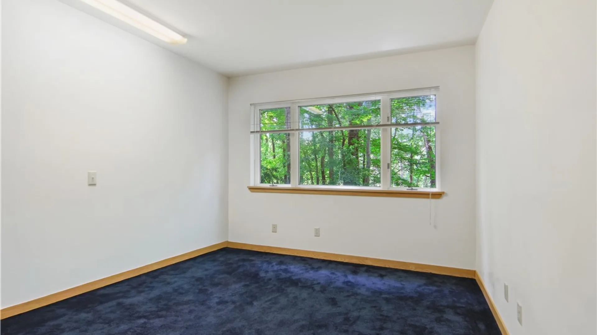 Property at 300 Kline Road, Ithaca Town, NY 14850 29