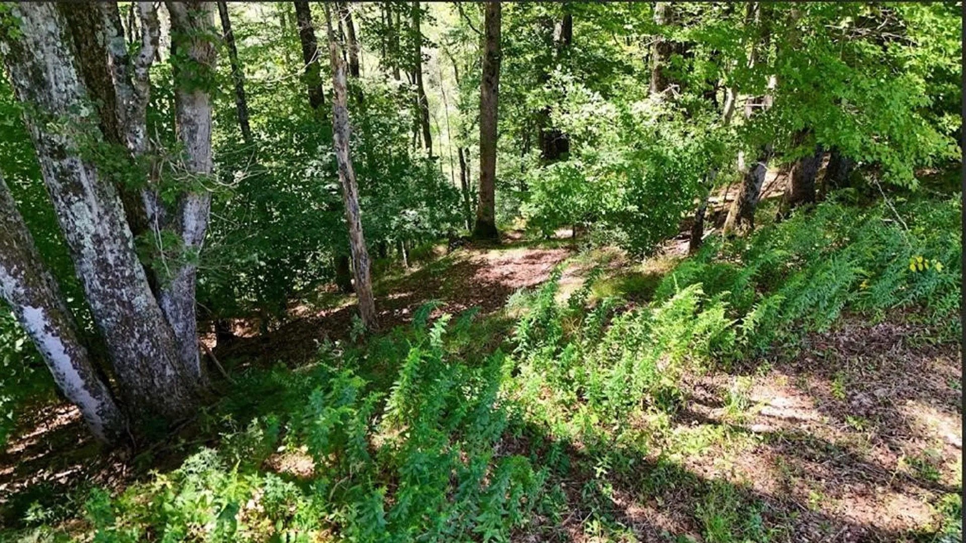 Property at 100 Pomeroy Road, Franklin, NY 13775 10
