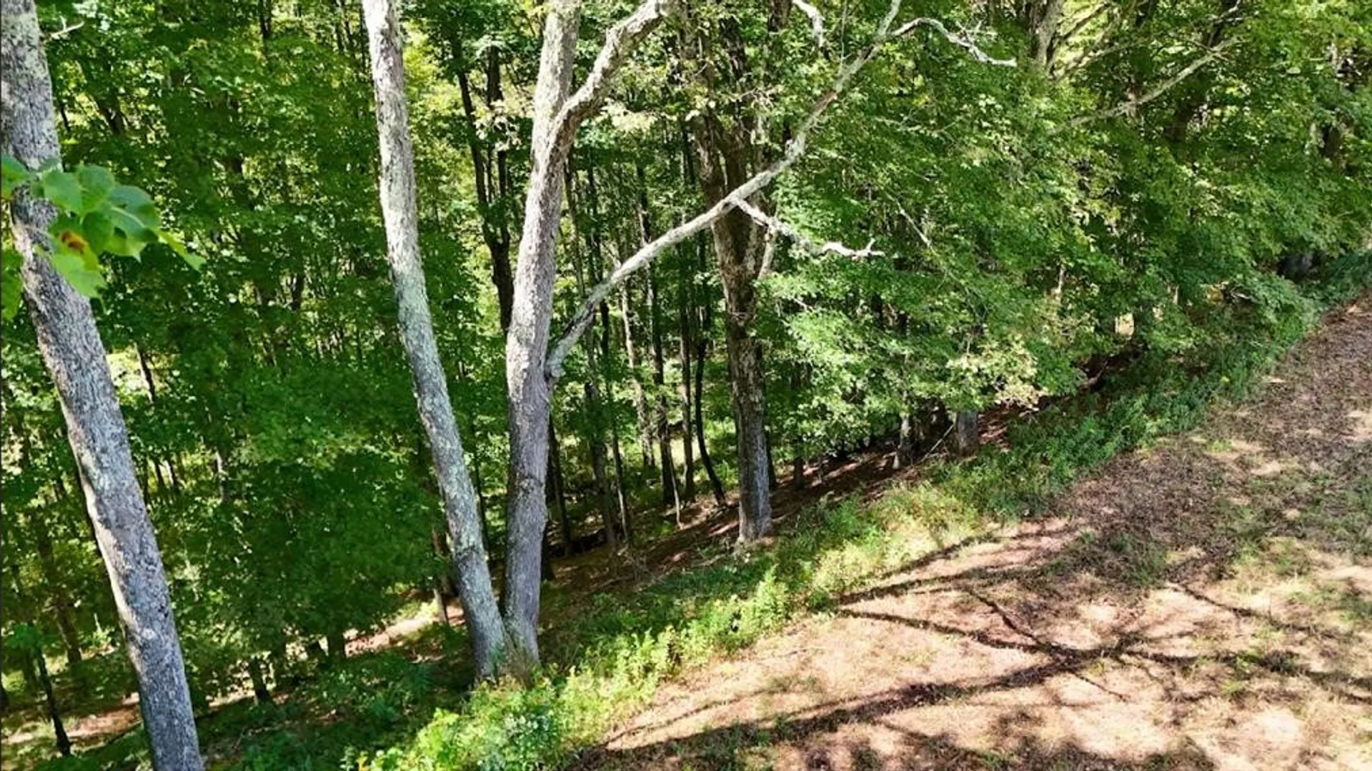 Property at 100 Pomeroy Road, Franklin, NY 13775 11