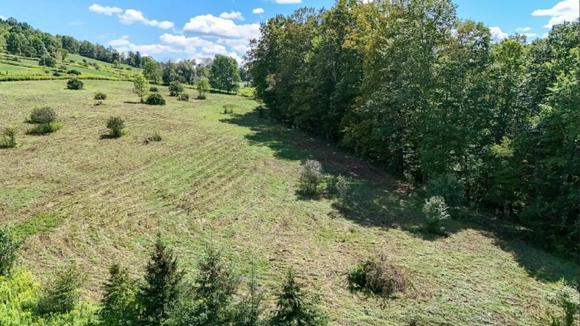 Property at 100 Pomeroy Road, Franklin, NY 13775 7