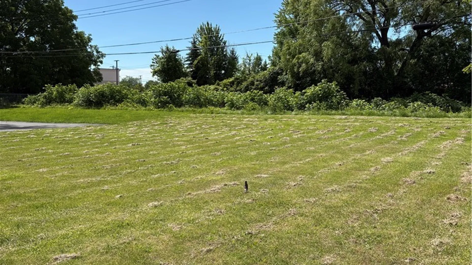 Property at 1025 George Urban Boulevard, Cheektowaga, NY 14225 29