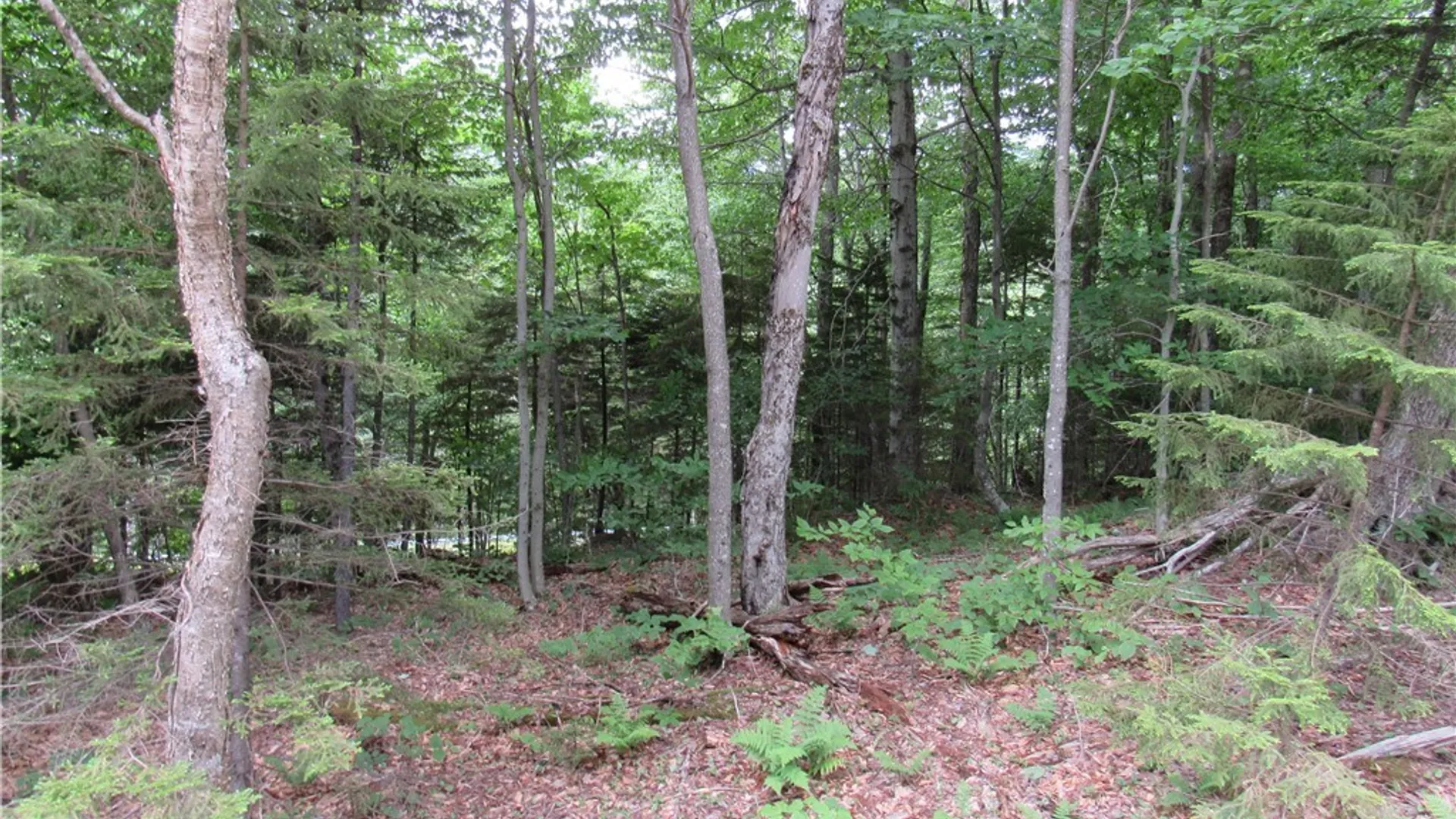 Property at Palisades Road, Webb, NY 13420 10