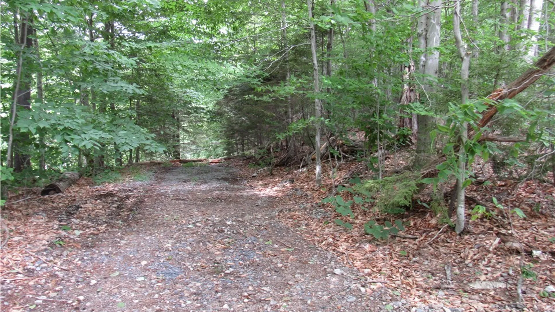 Property at Palisades Road, Webb, NY 13420 11
