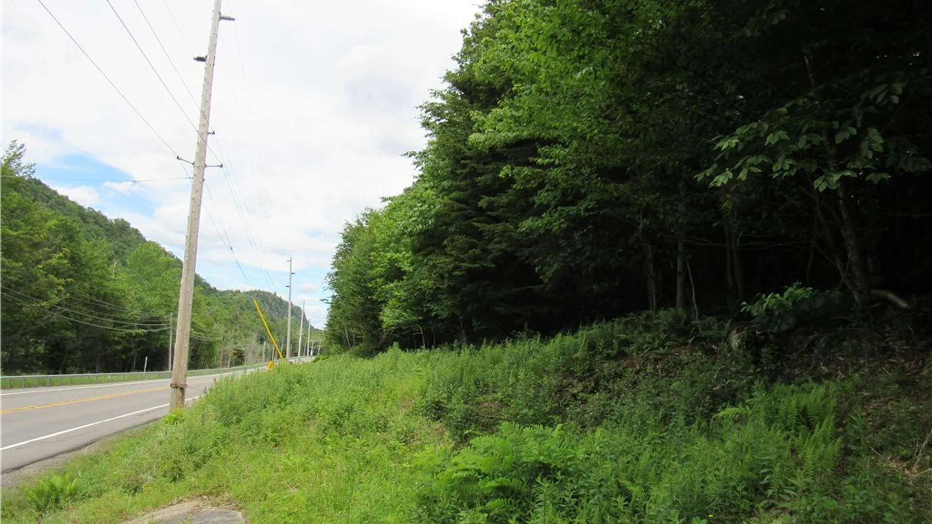 Property at Palisades Road, Webb, NY 13420 12