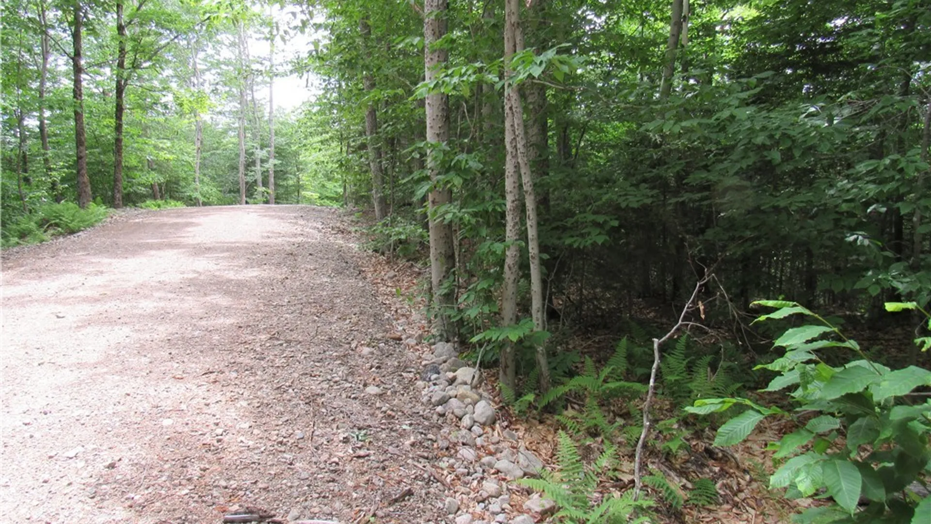 Property at Palisades Road, Webb, NY 13420 2