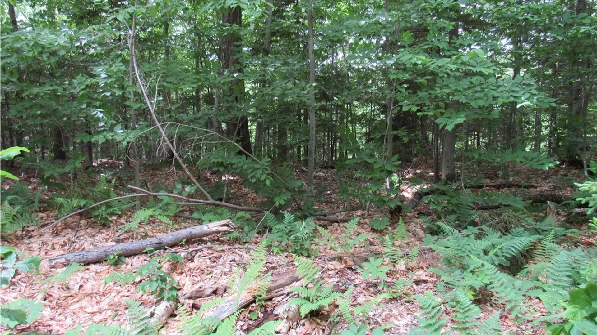 Property at Palisades Road, Webb, NY 13420 3