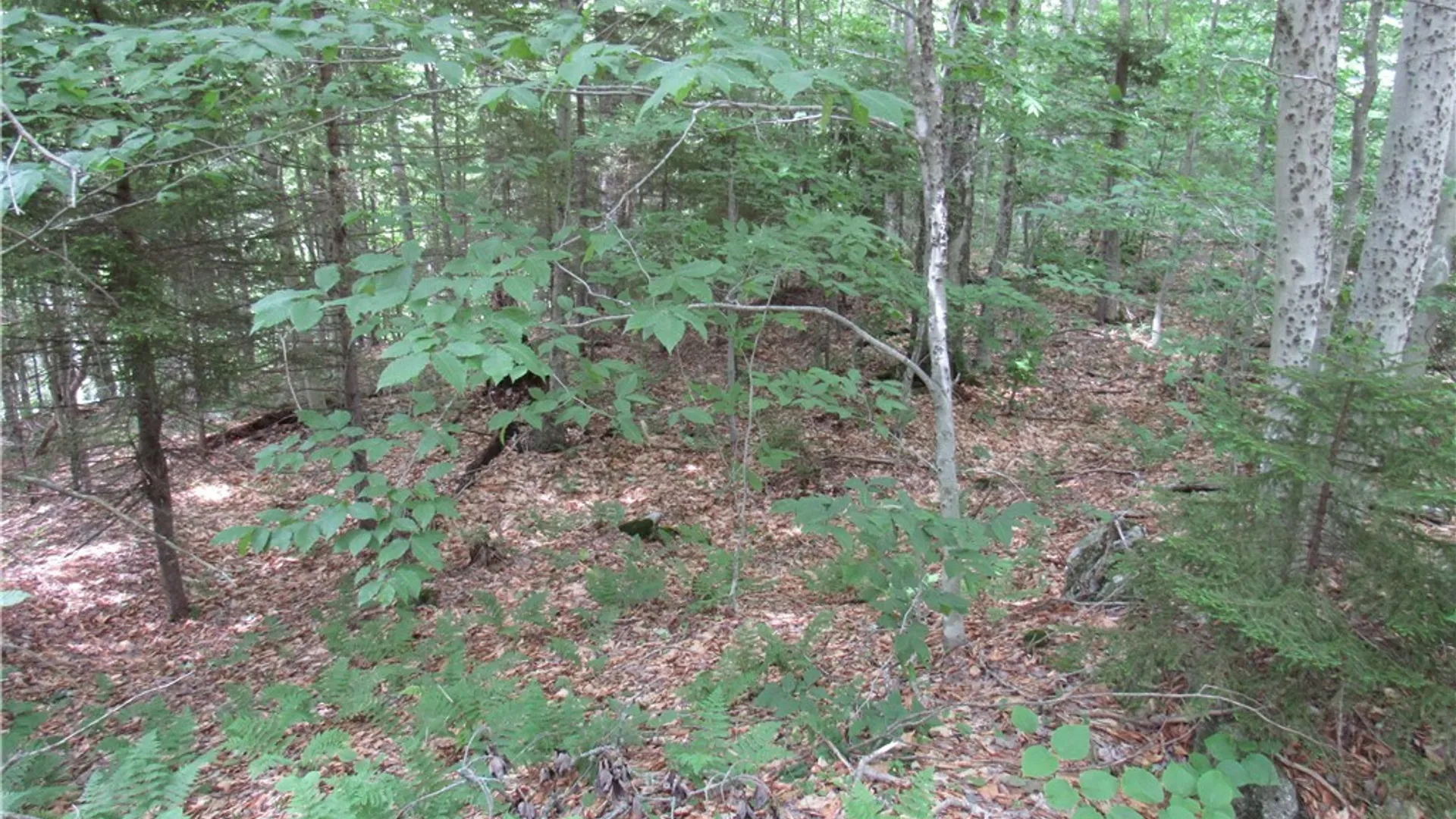 Property at Palisades Road, Webb, NY 13420 7