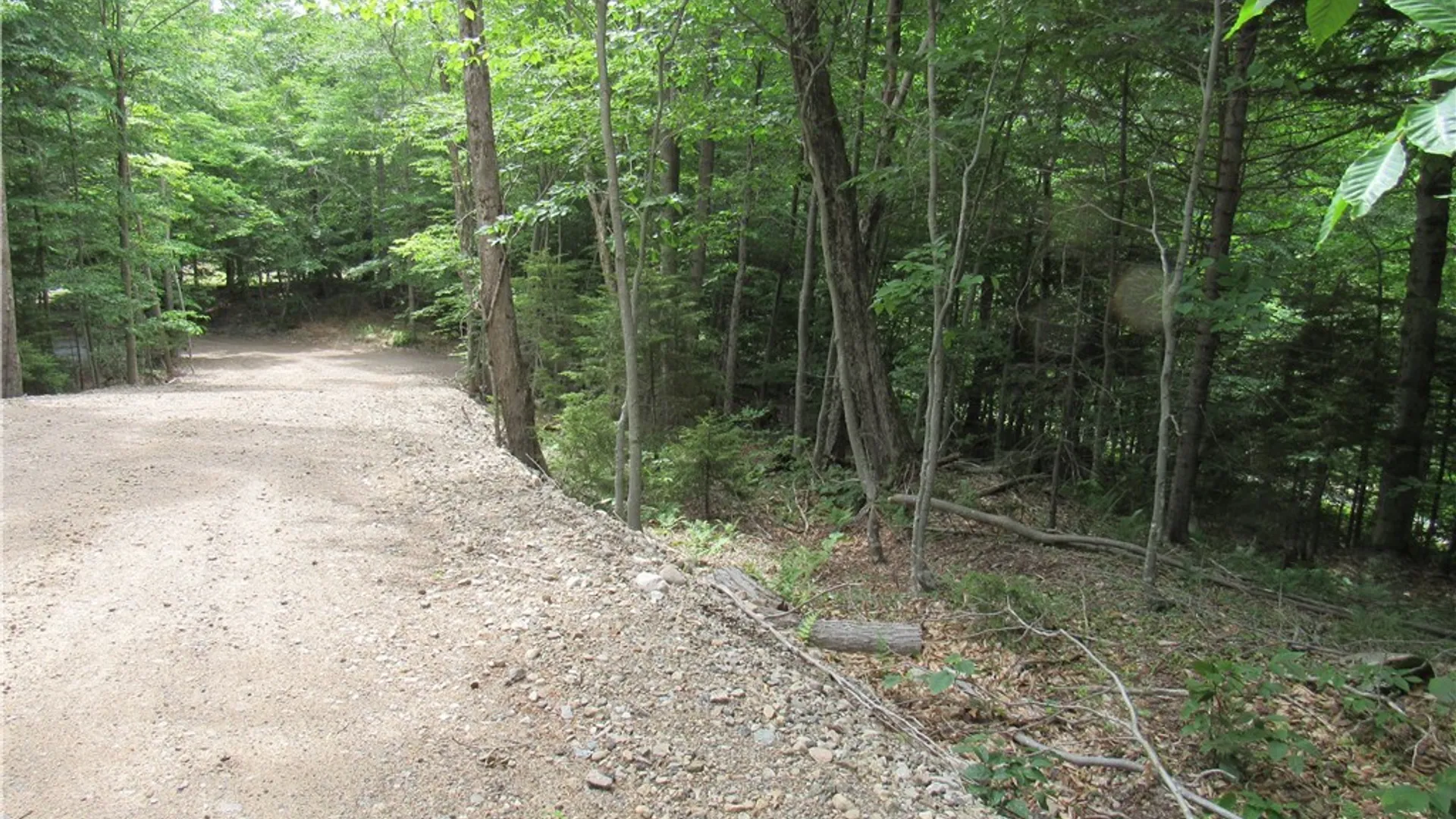 Property at Palisades Road, Webb, NY 13420 8