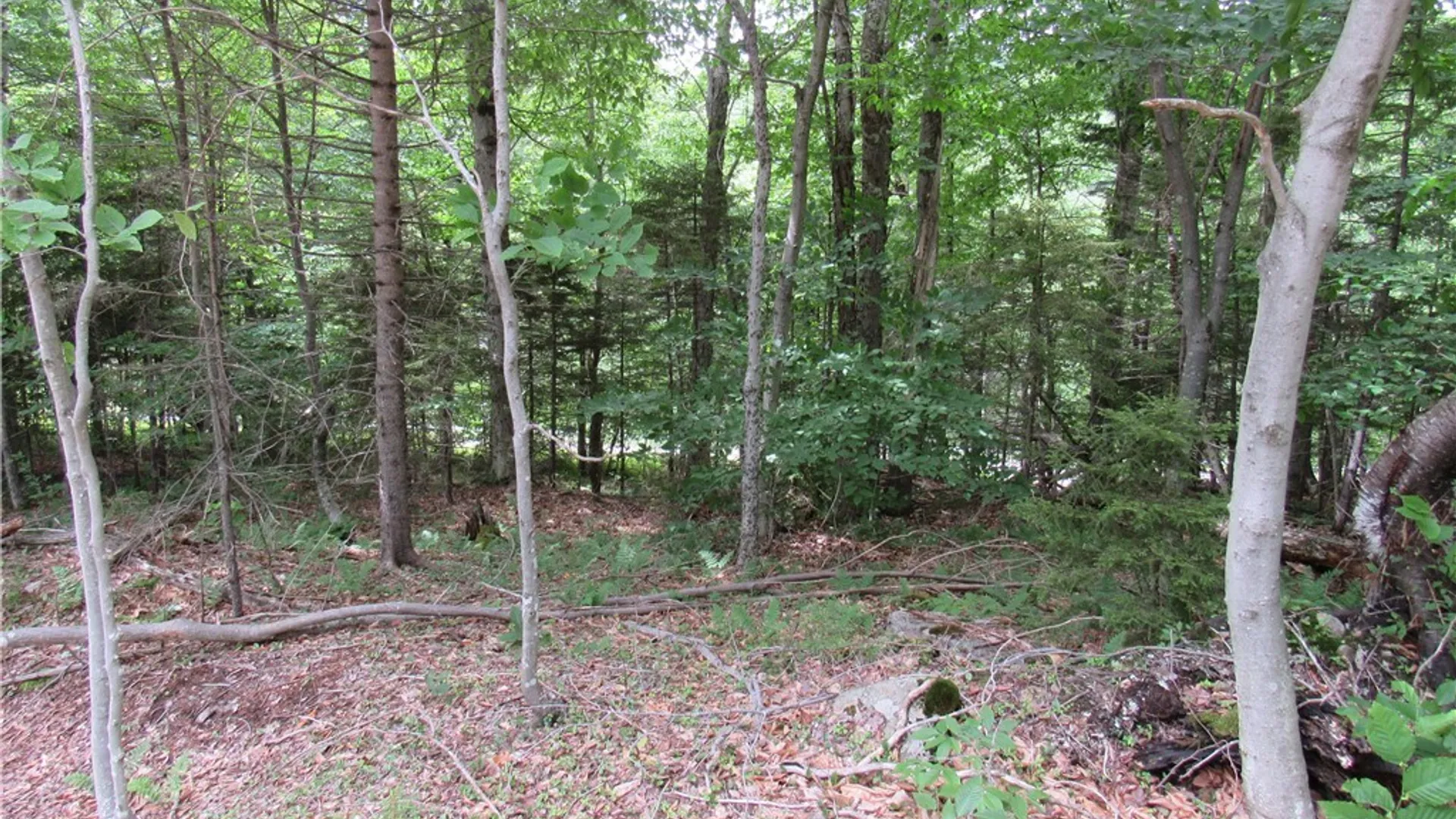 Property at Palisades Road, Webb, NY 13420 9
