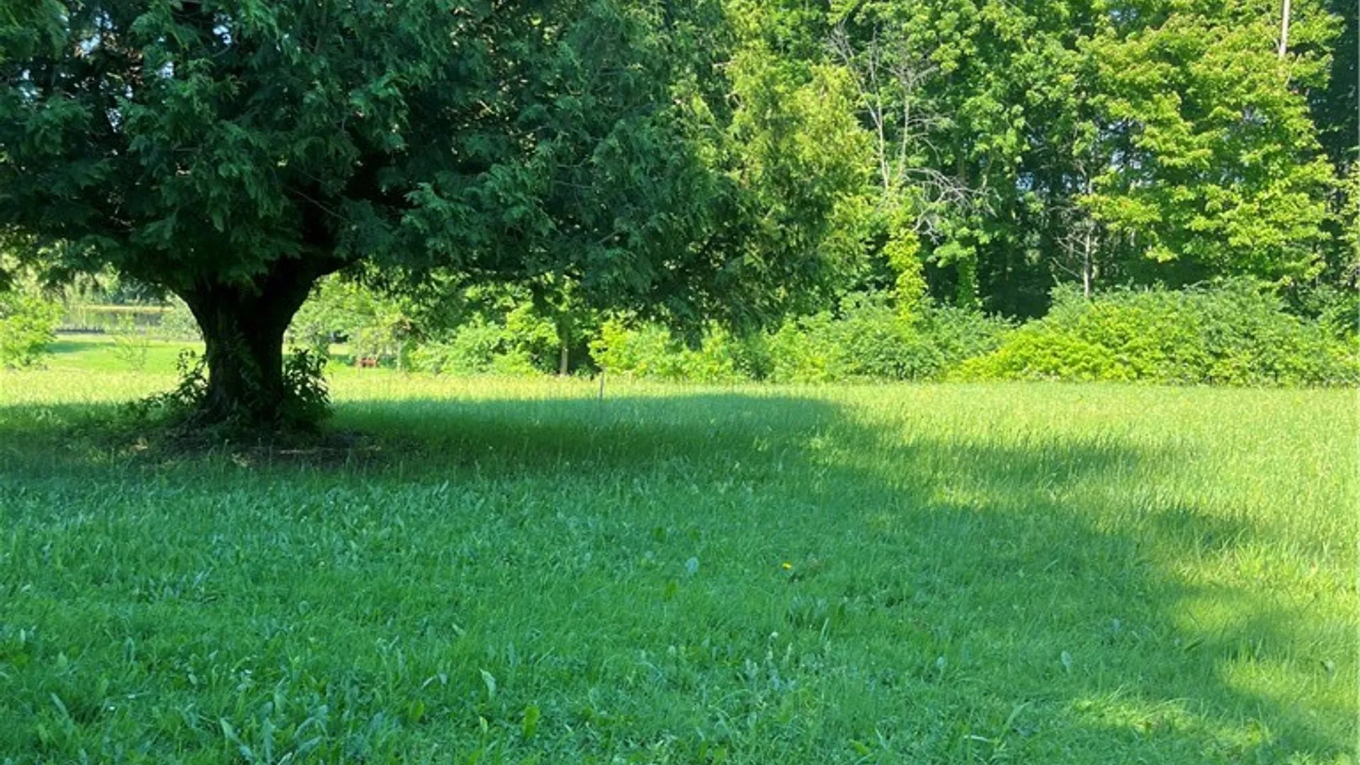 Property at 00 Stickles Lane, Conquest, NY 13140 2