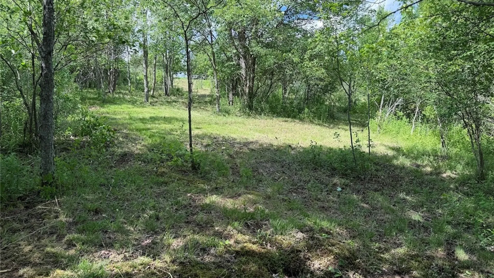 Property at Reynolds Road, Franklinville, NY 14737 11