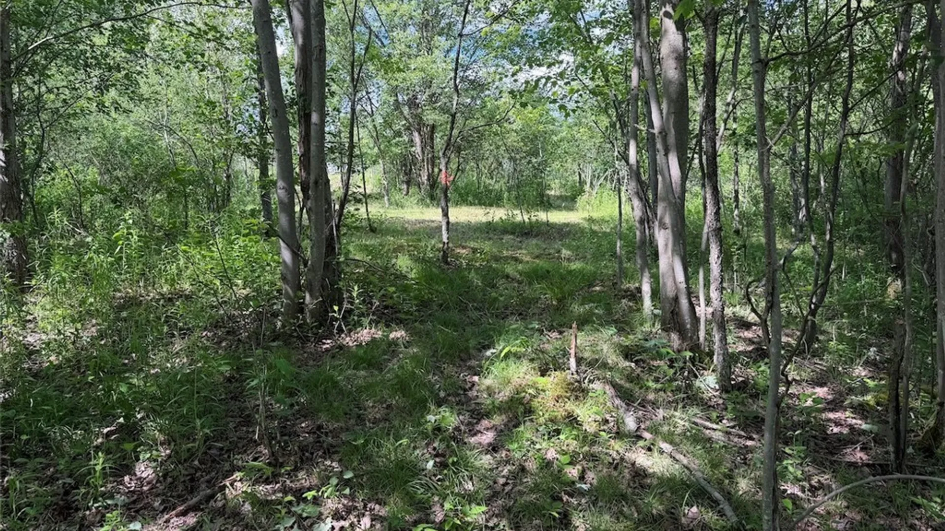 Property at Reynolds Road, Franklinville, NY 14737 12