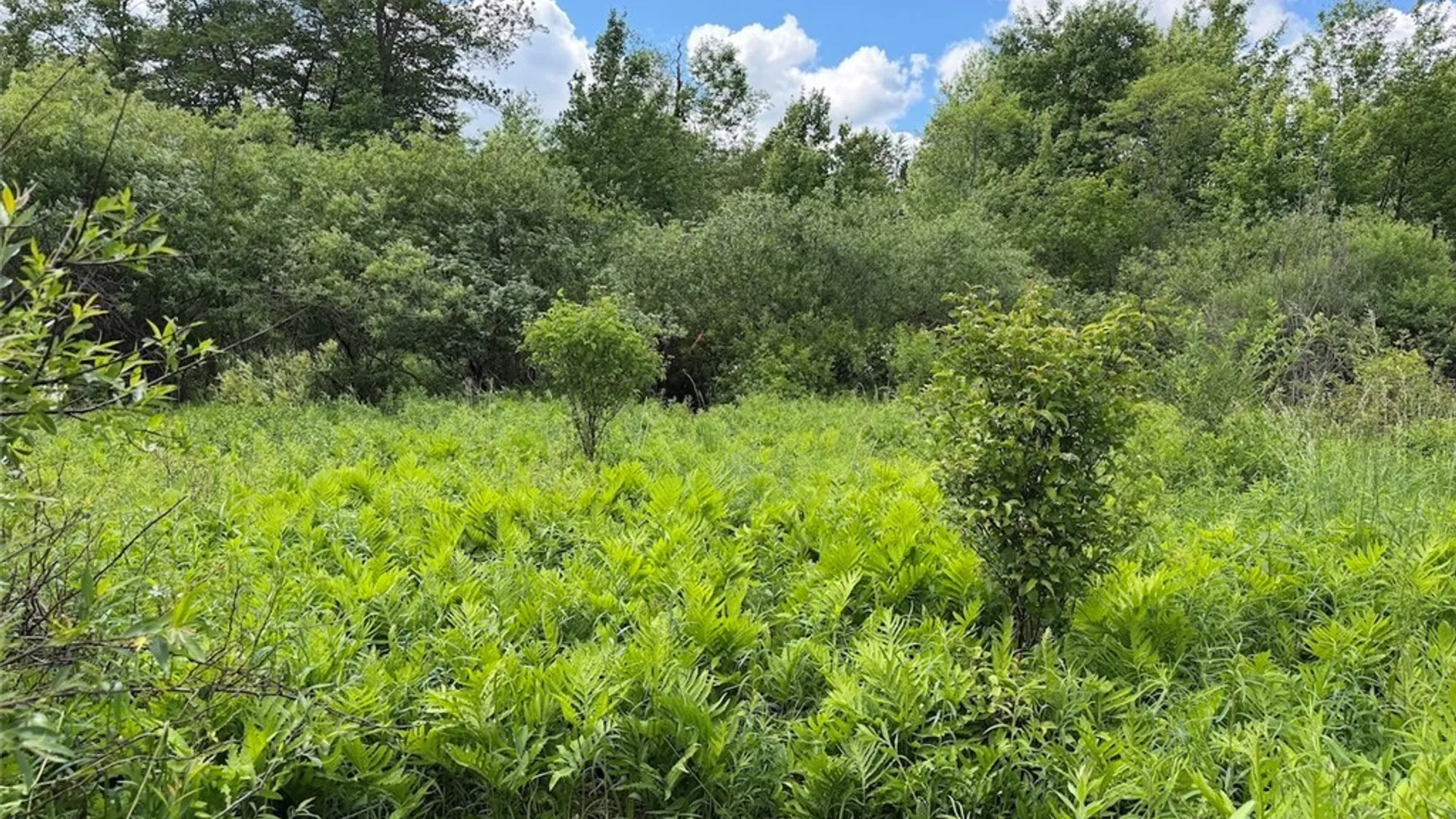 Property at Reynolds Road, Franklinville, NY 14737 17