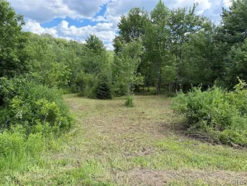Property at Reynolds Road, Franklinville, NY 14737