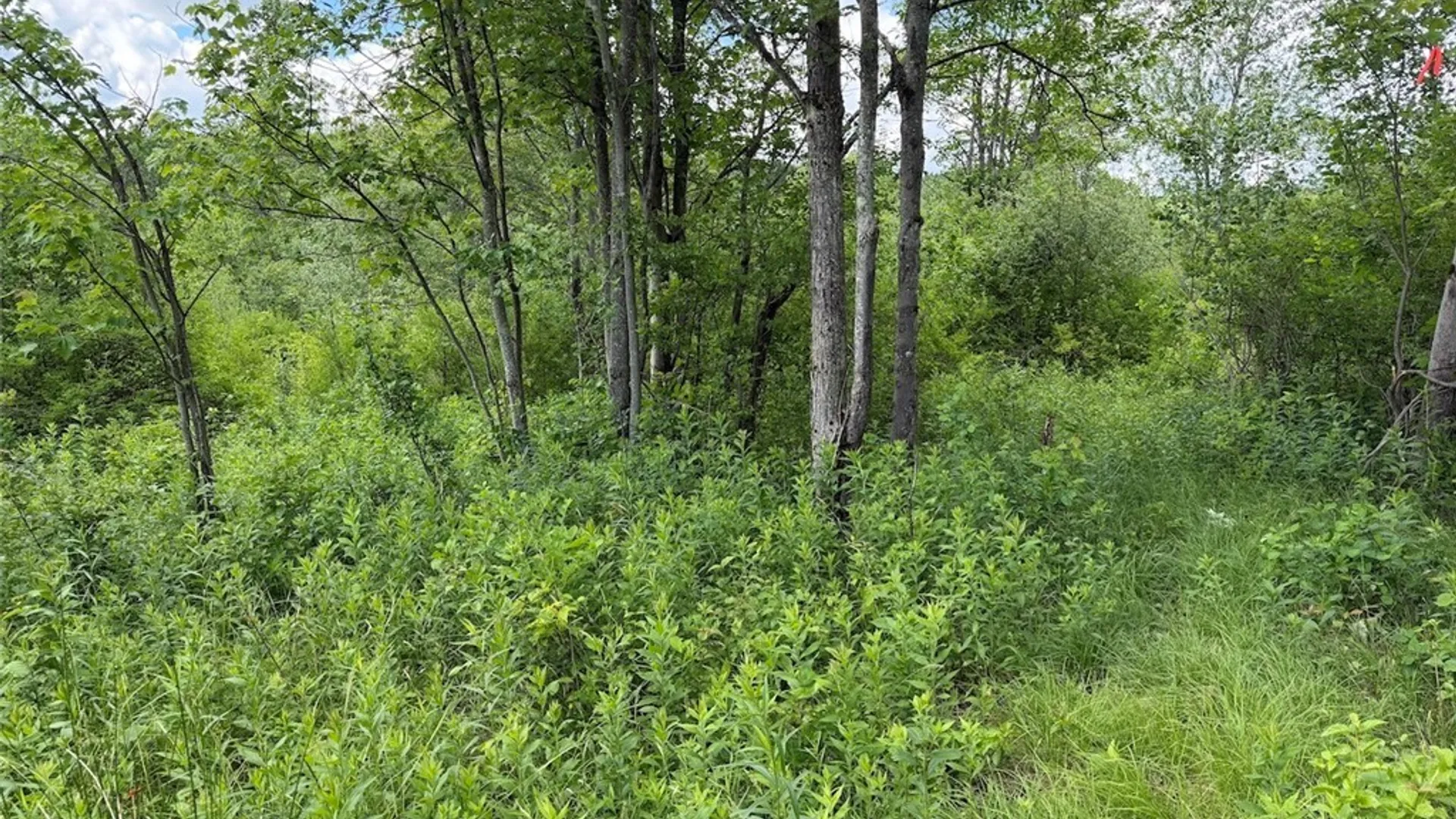 Property at Reynolds Road, Franklinville, NY 14737 23