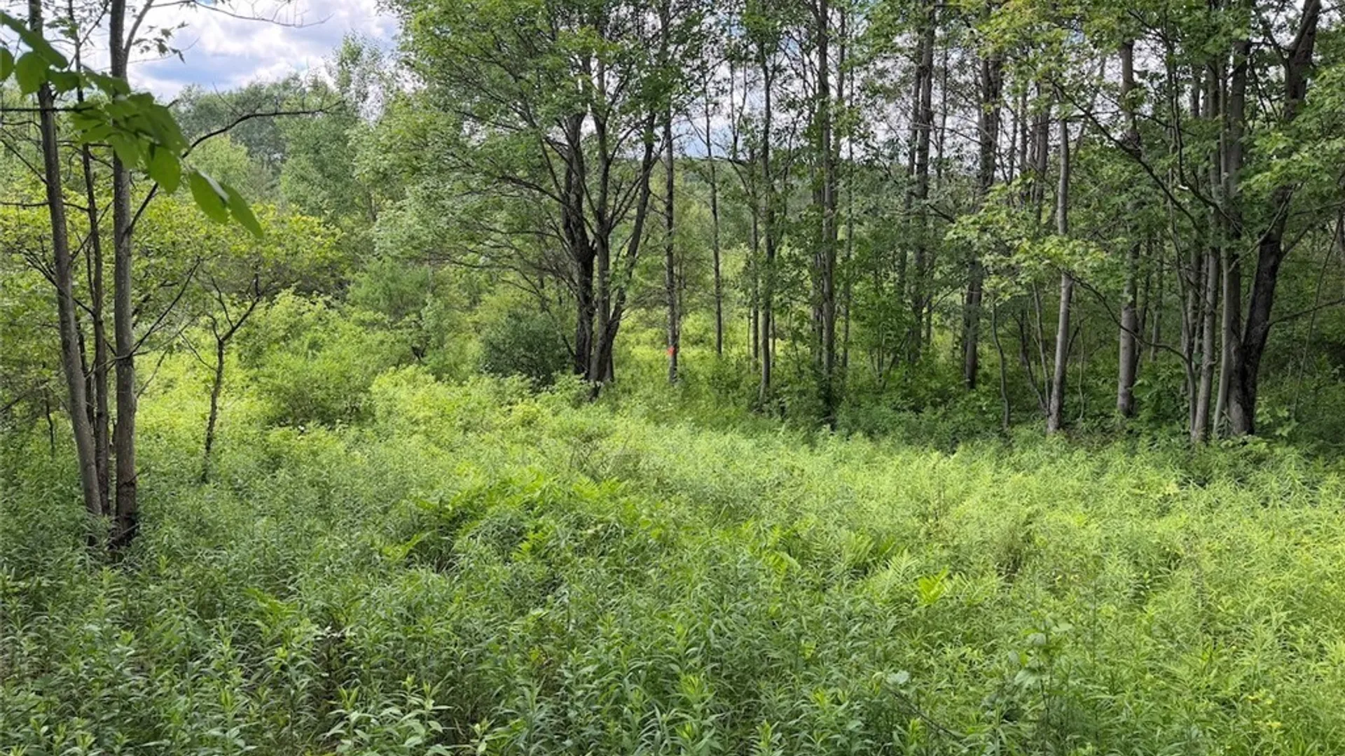 Property at Reynolds Road, Franklinville, NY 14737 27