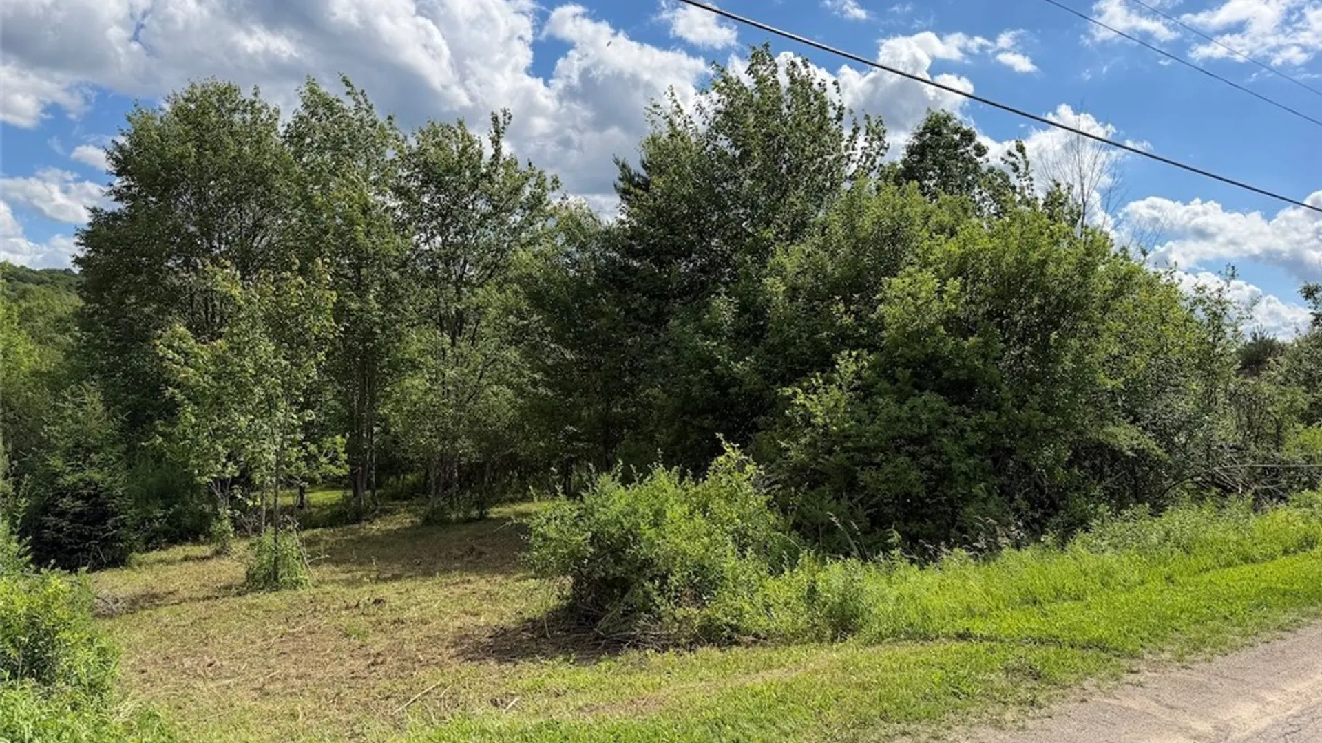 Property at Reynolds Road, Franklinville, NY 14737 3