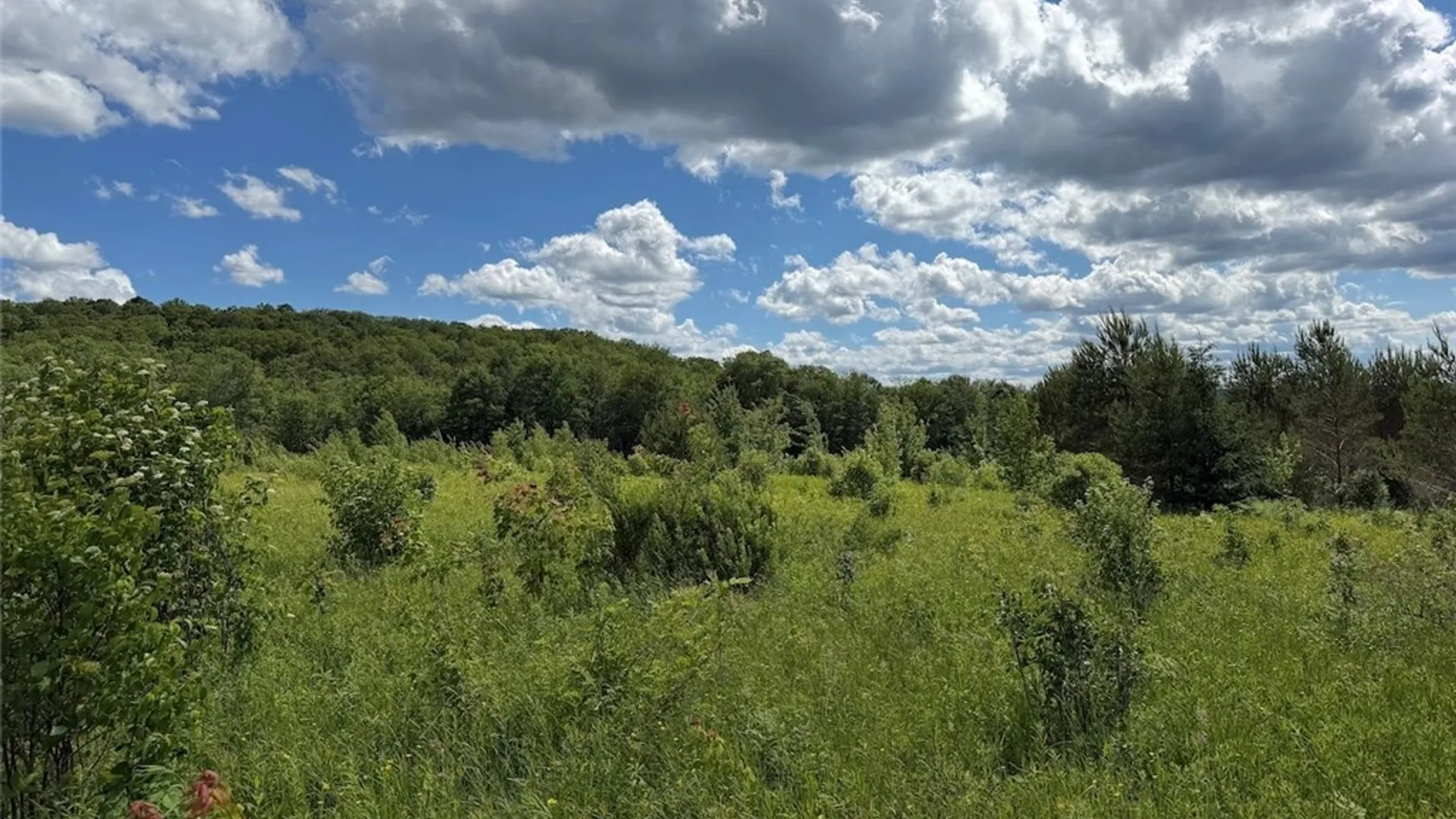 Property at Reynolds Road, Franklinville, NY 14737 32