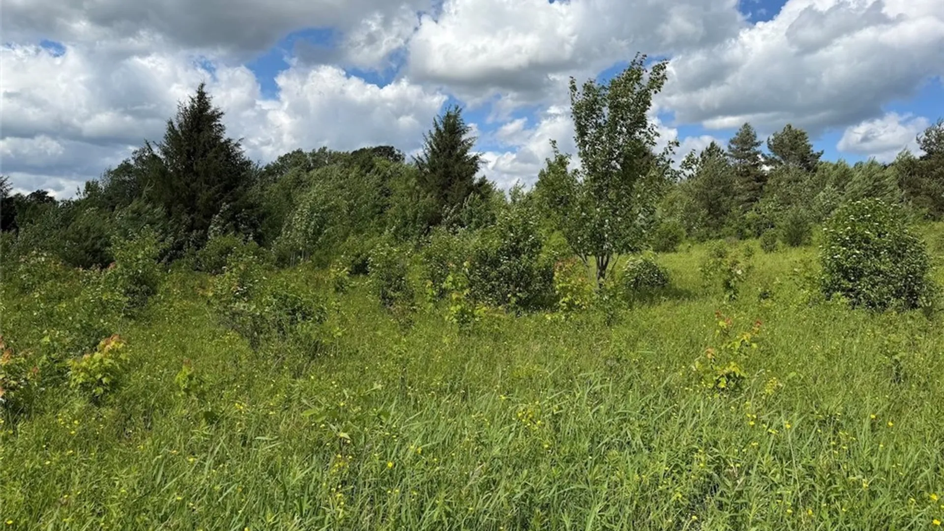 Property at Reynolds Road, Franklinville, NY 14737 33