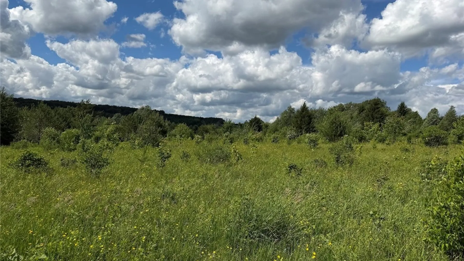 Property at Reynolds Road, Franklinville, NY 14737 35
