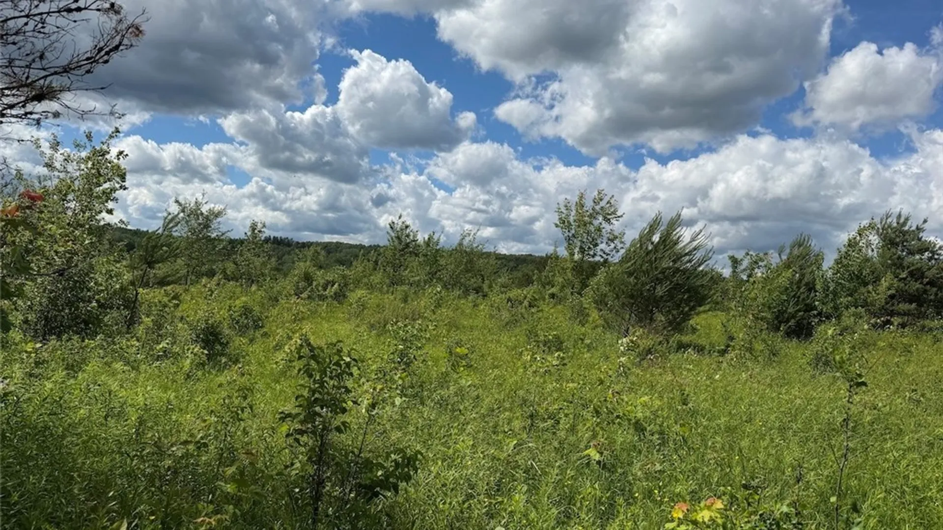 Property at Reynolds Road, Franklinville, NY 14737 36