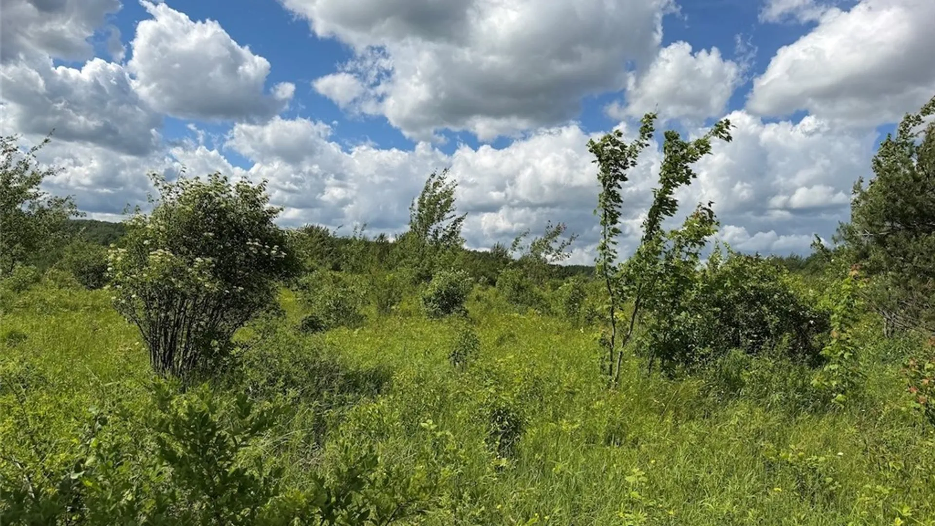 Property at Reynolds Road, Franklinville, NY 14737 37