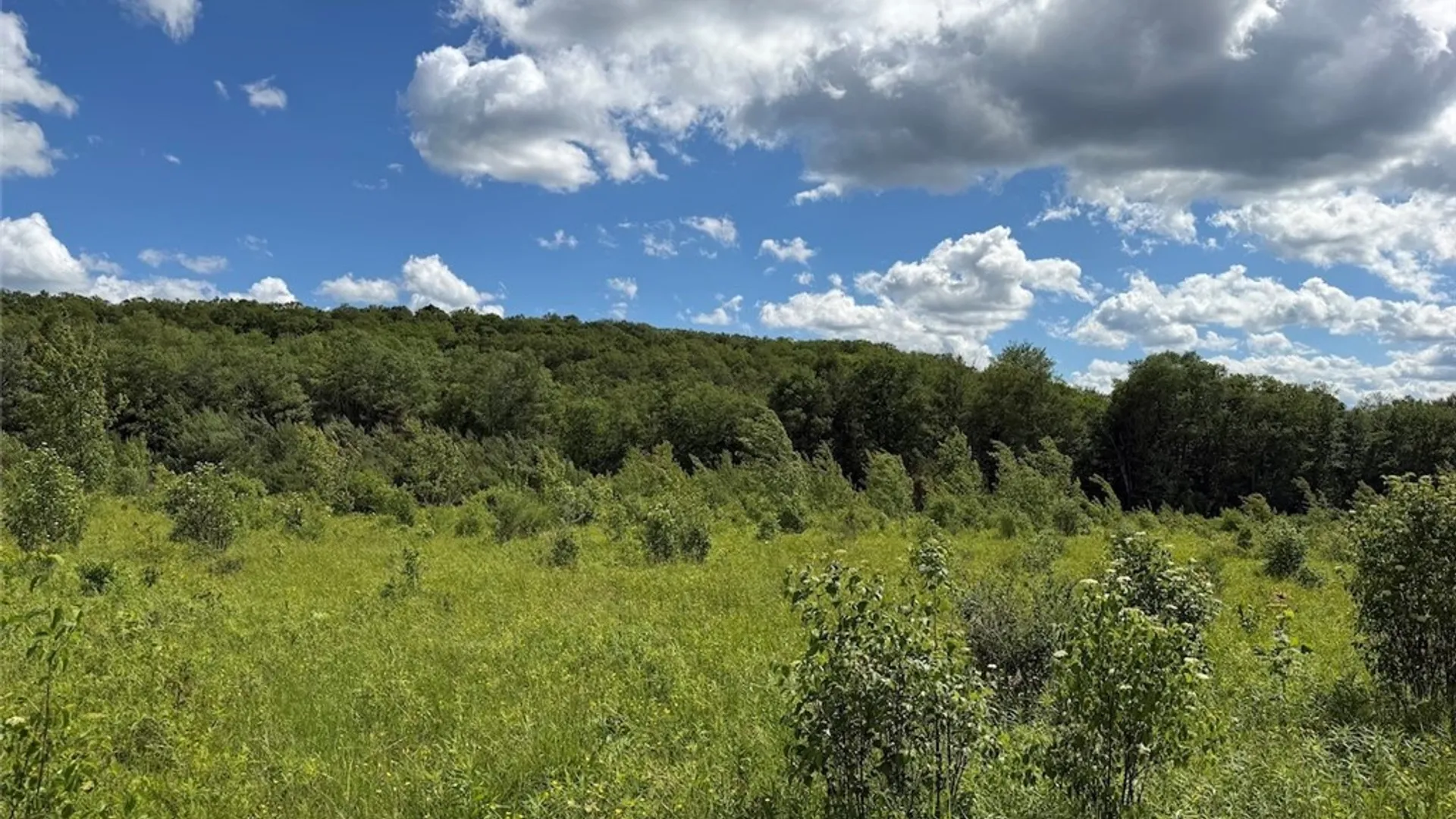 Property at Reynolds Road, Franklinville, NY 14737 38