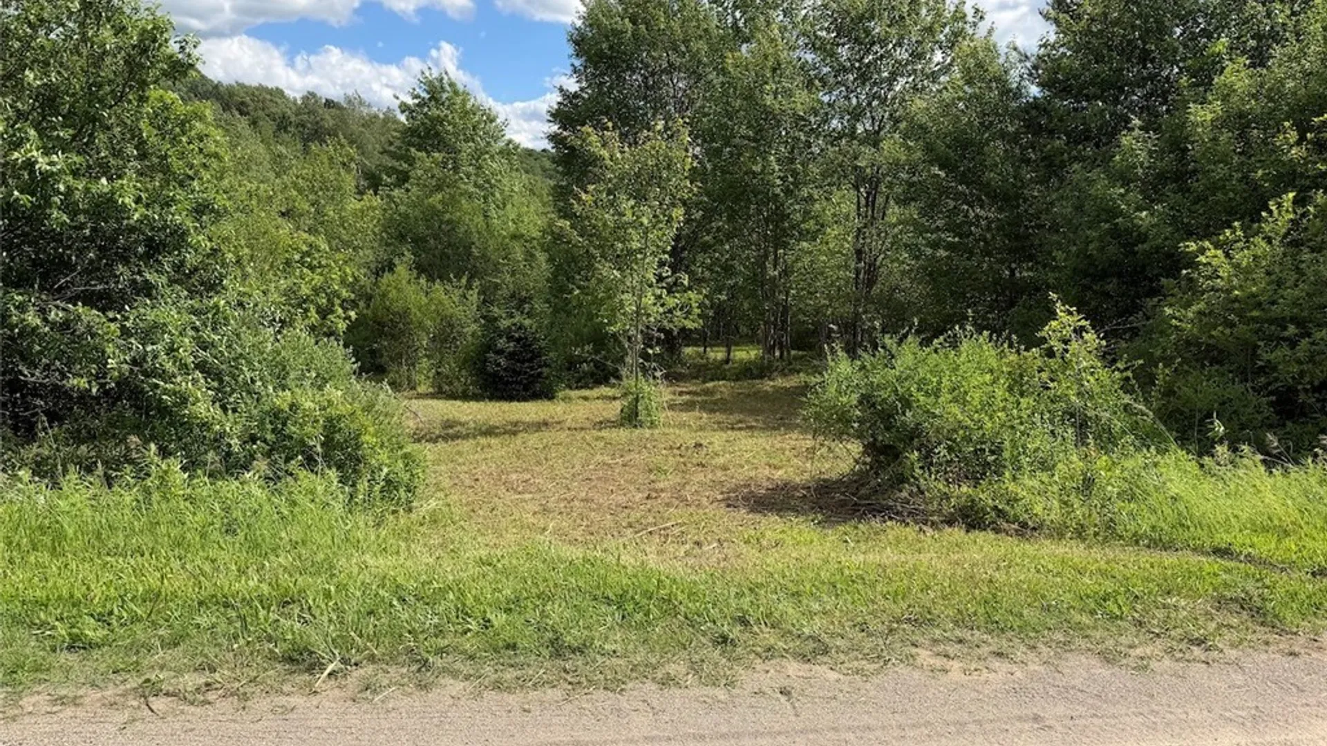 Property at Reynolds Road, Franklinville, NY 14737 4