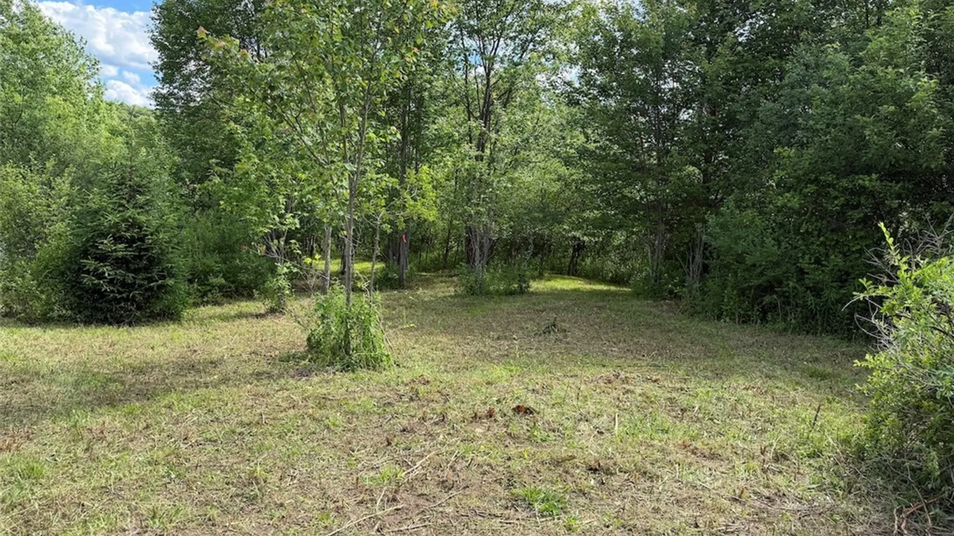 Property at Reynolds Road, Franklinville, NY 14737 5