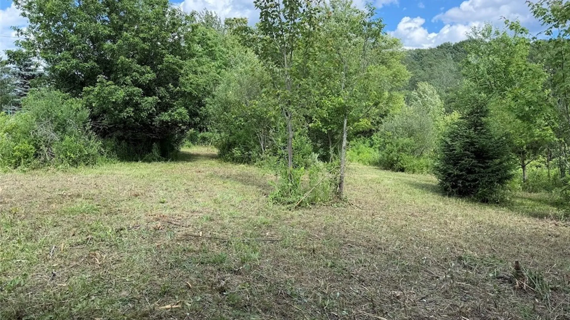 Property at Reynolds Road, Franklinville, NY 14737 6