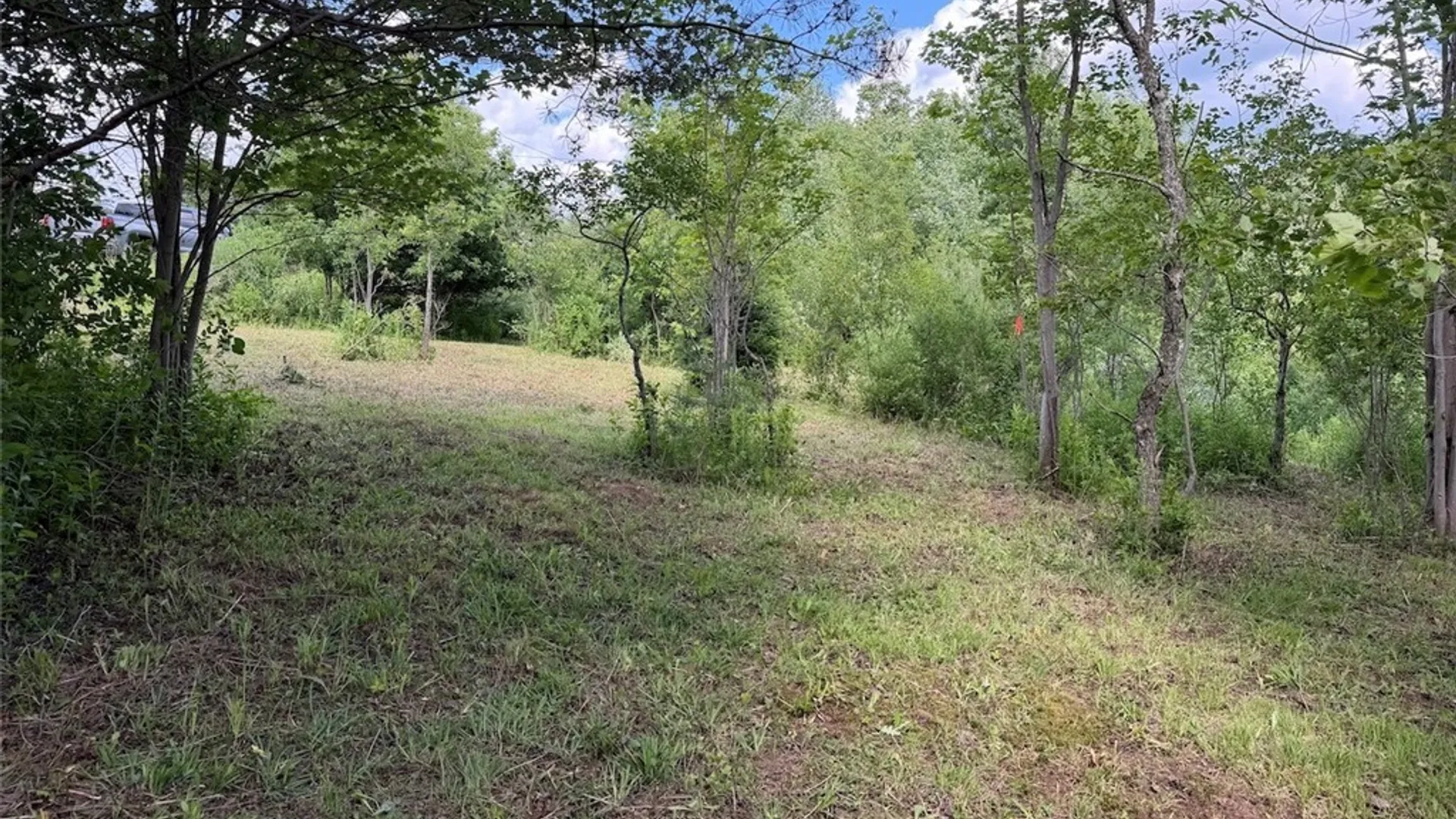 Property at Reynolds Road, Franklinville, NY 14737 7
