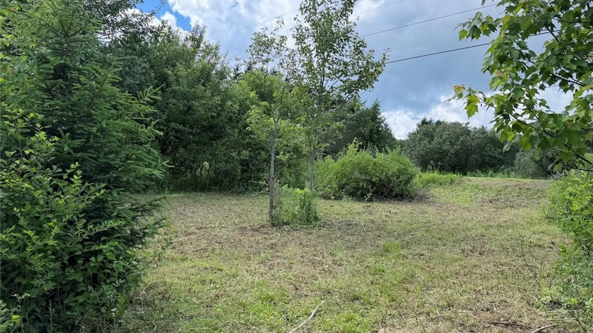 Property at Reynolds Road, Franklinville, NY 14737 8