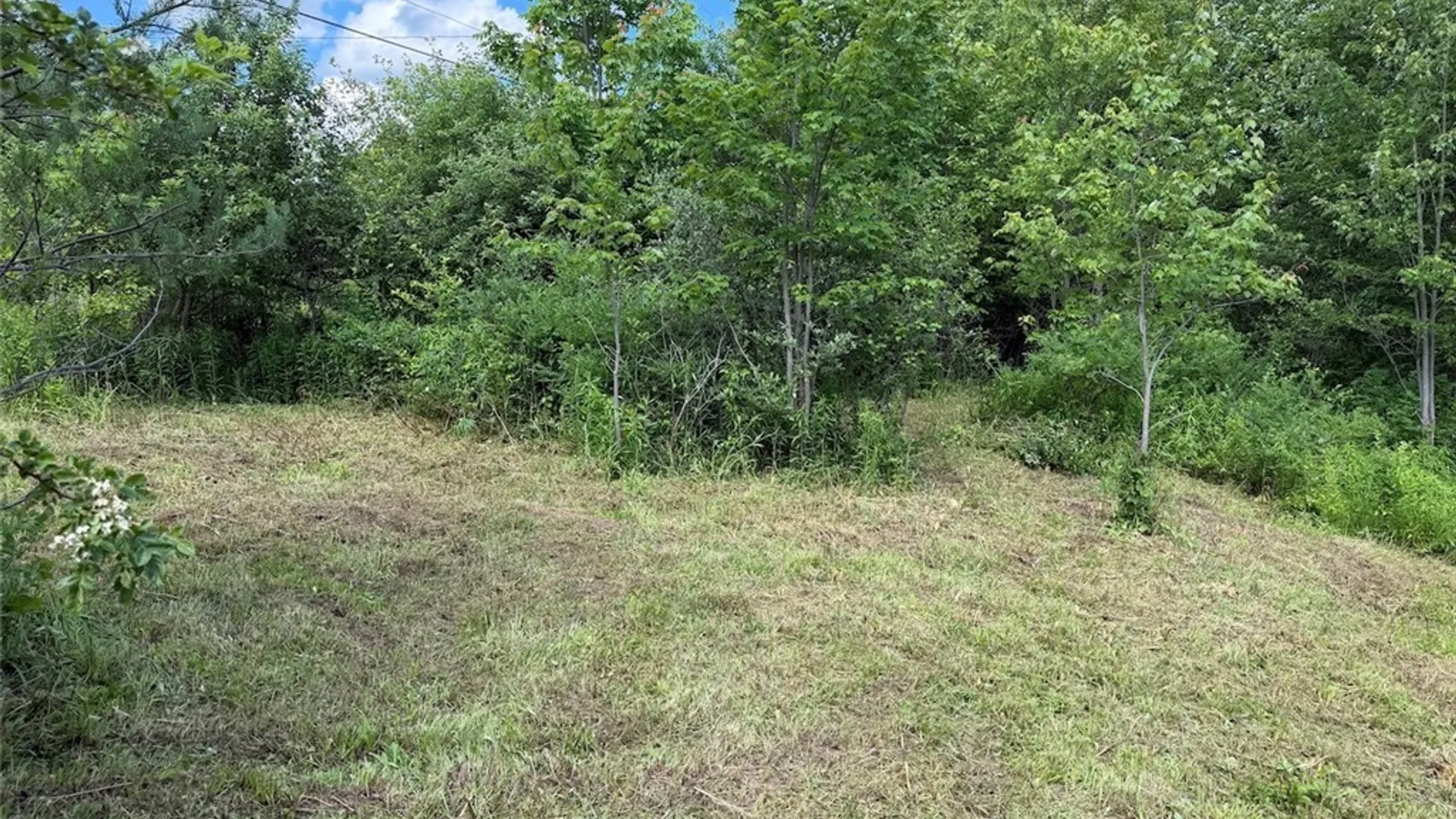 Property at Reynolds Road, Franklinville, NY 14737 9