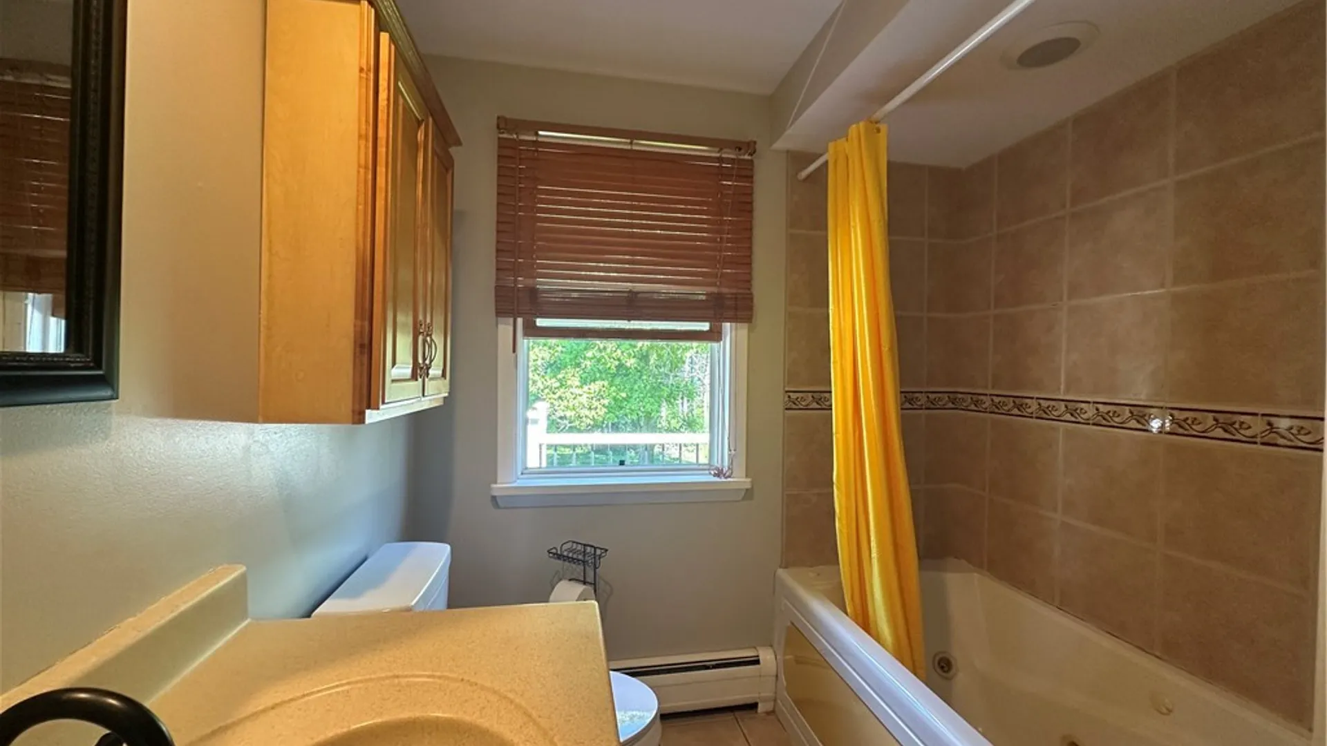 Property at 131 Slosson Lane, Geneva City, NY 14456 6