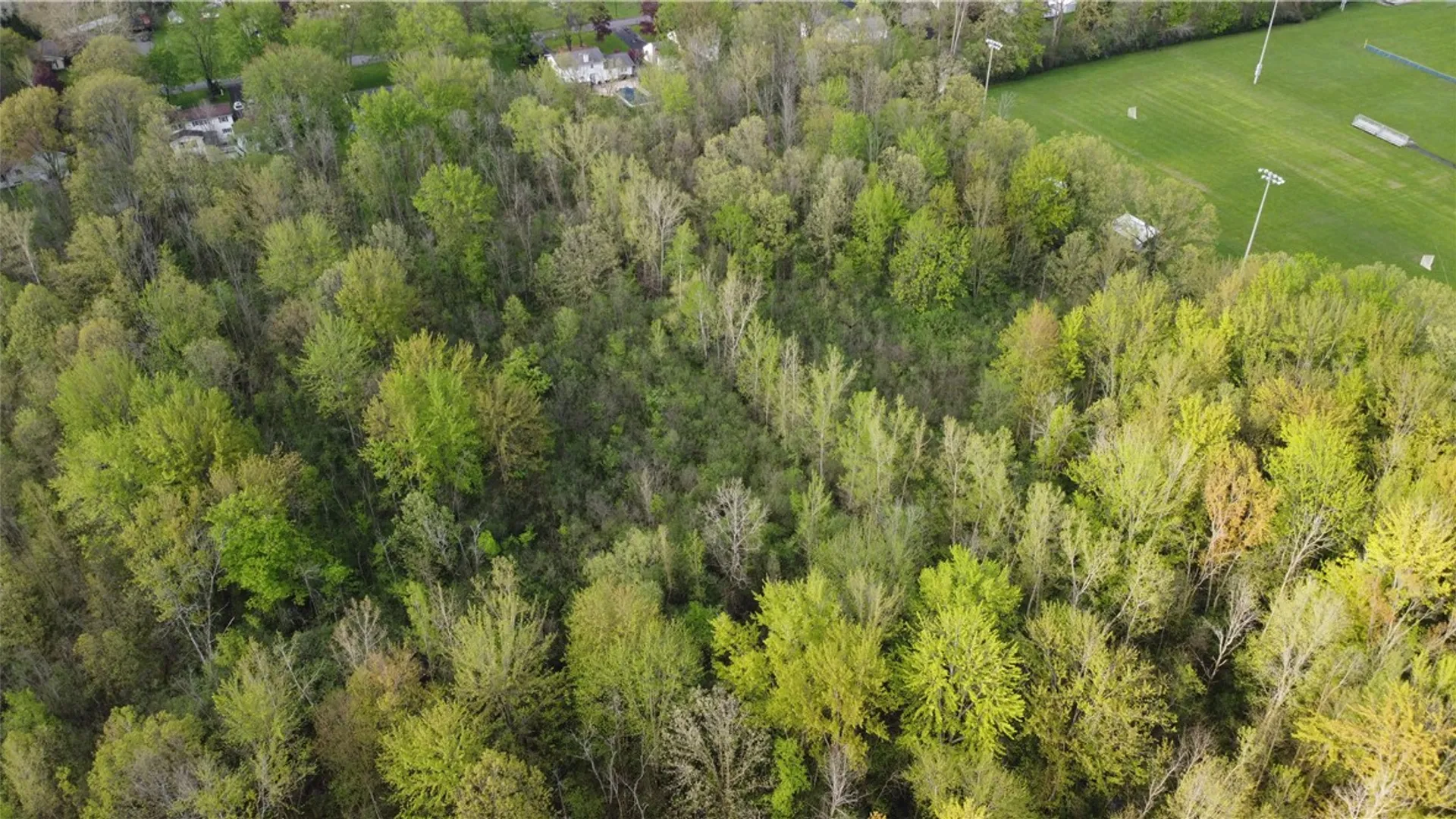 Property at Clinton Street, Seneca Falls, NY 13148 11
