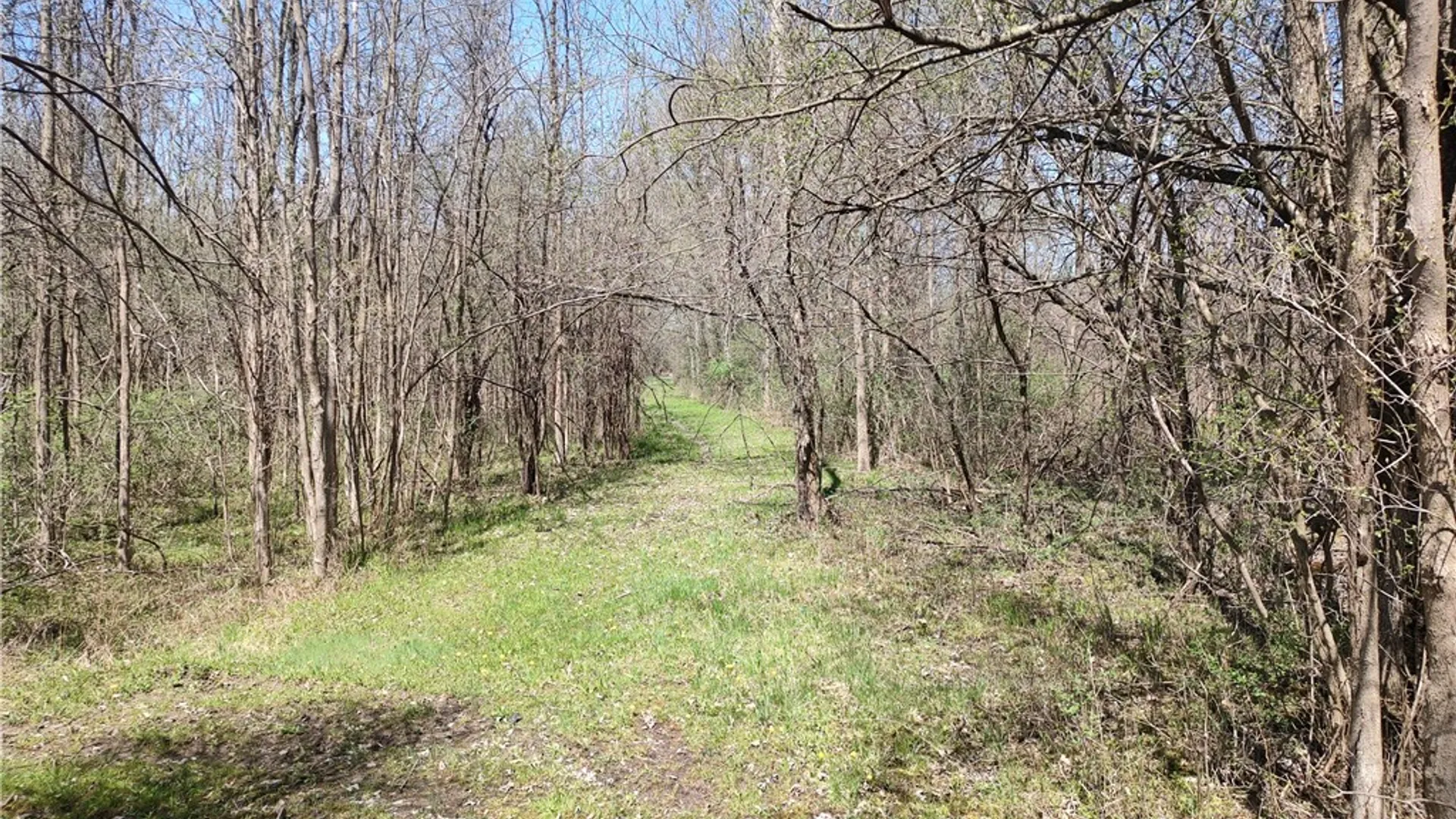 Property at Clinton Street, Seneca Falls, NY 13148 2