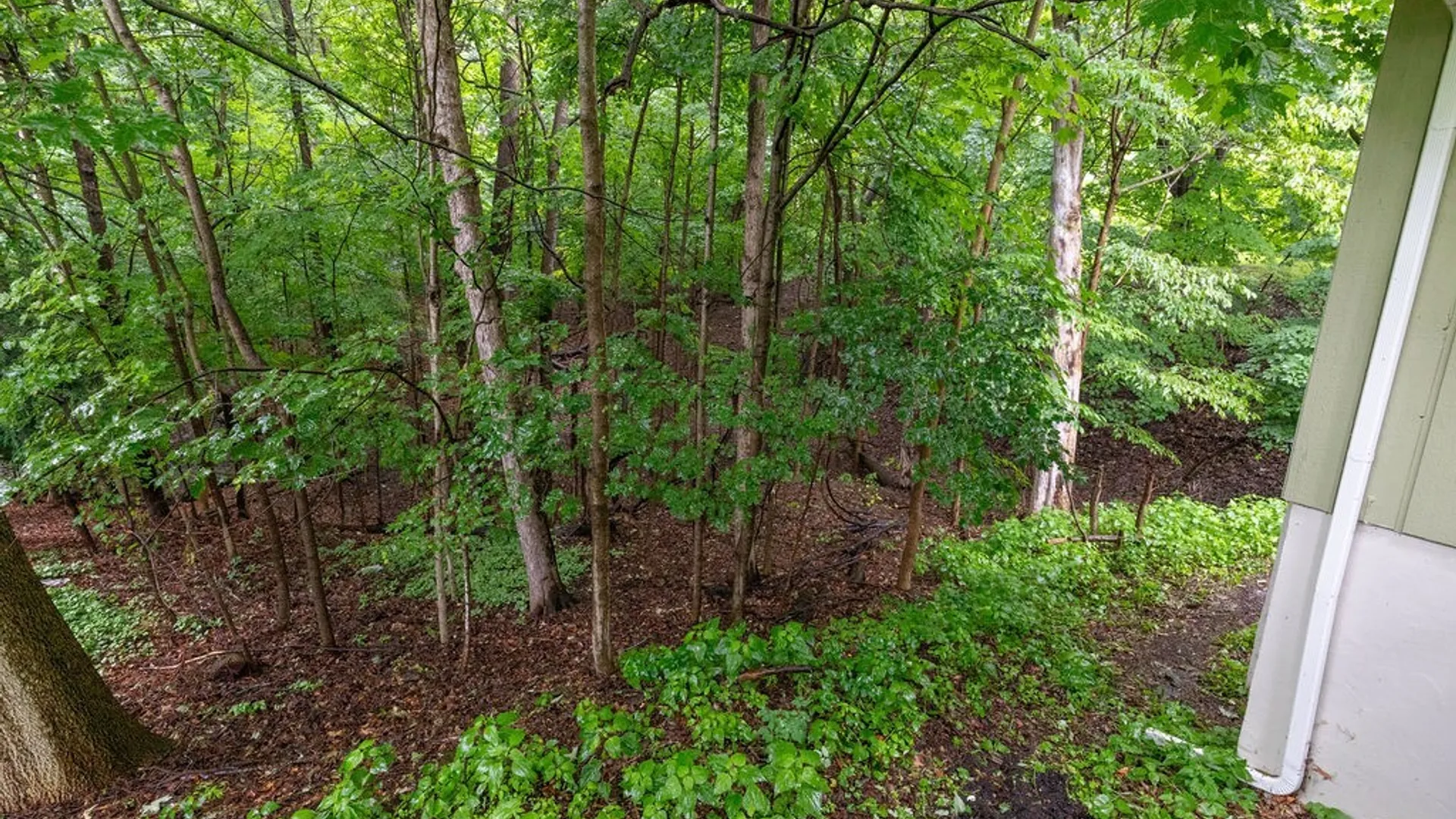 Property at 13 Green Fir Circle, Camillus, NY 13219 43