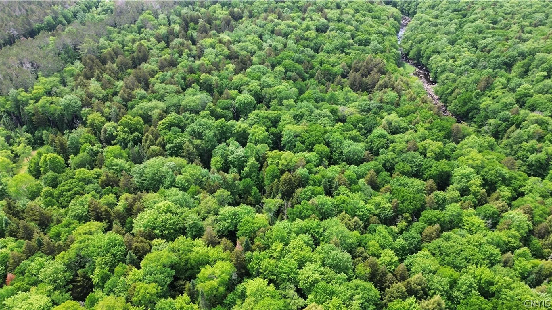 Property at Lot 112 Rt-8, Morehouse, NY 13324 3
