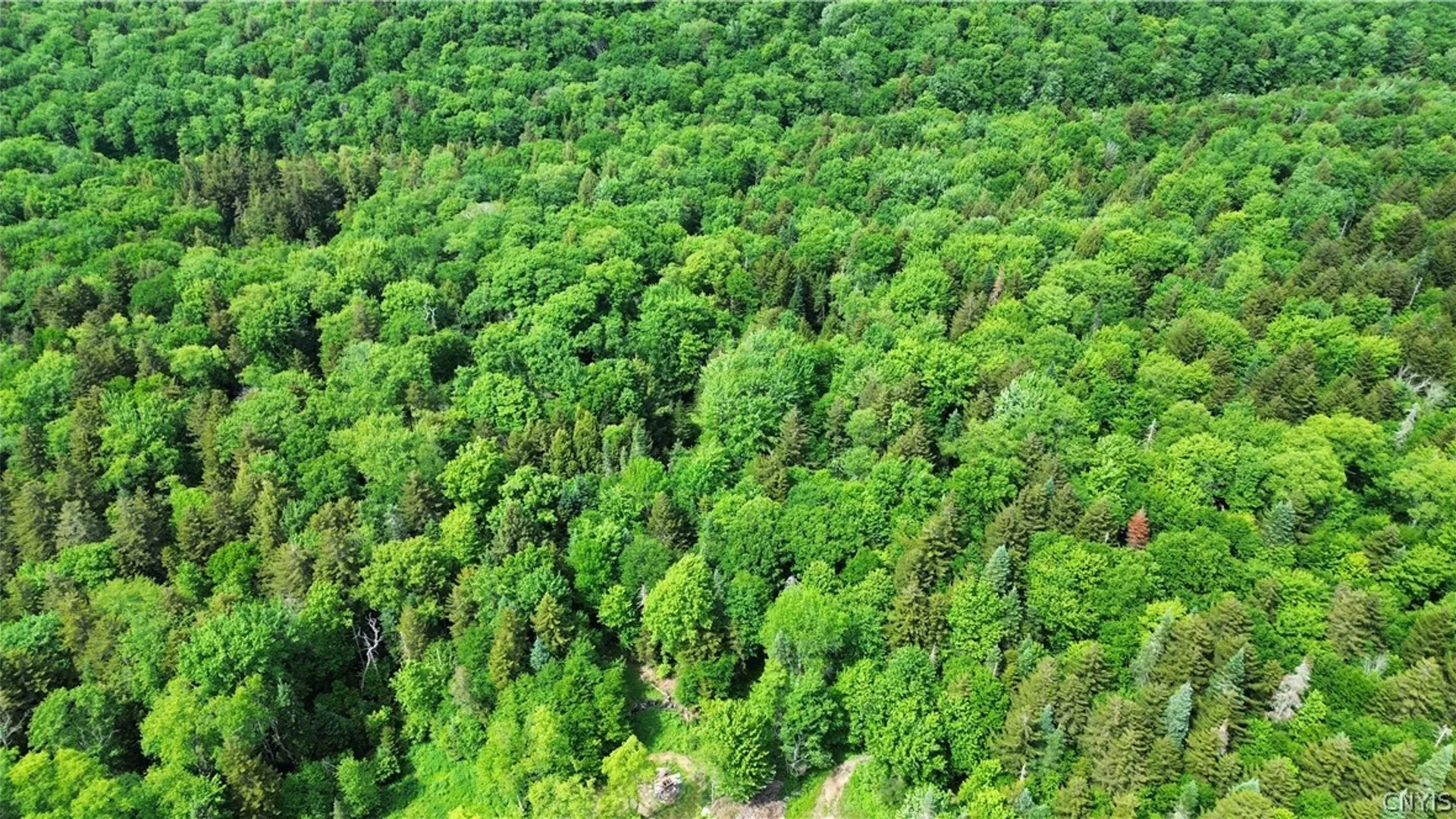 Property at Lot 112 Rt-8, Morehouse, NY 13324 8