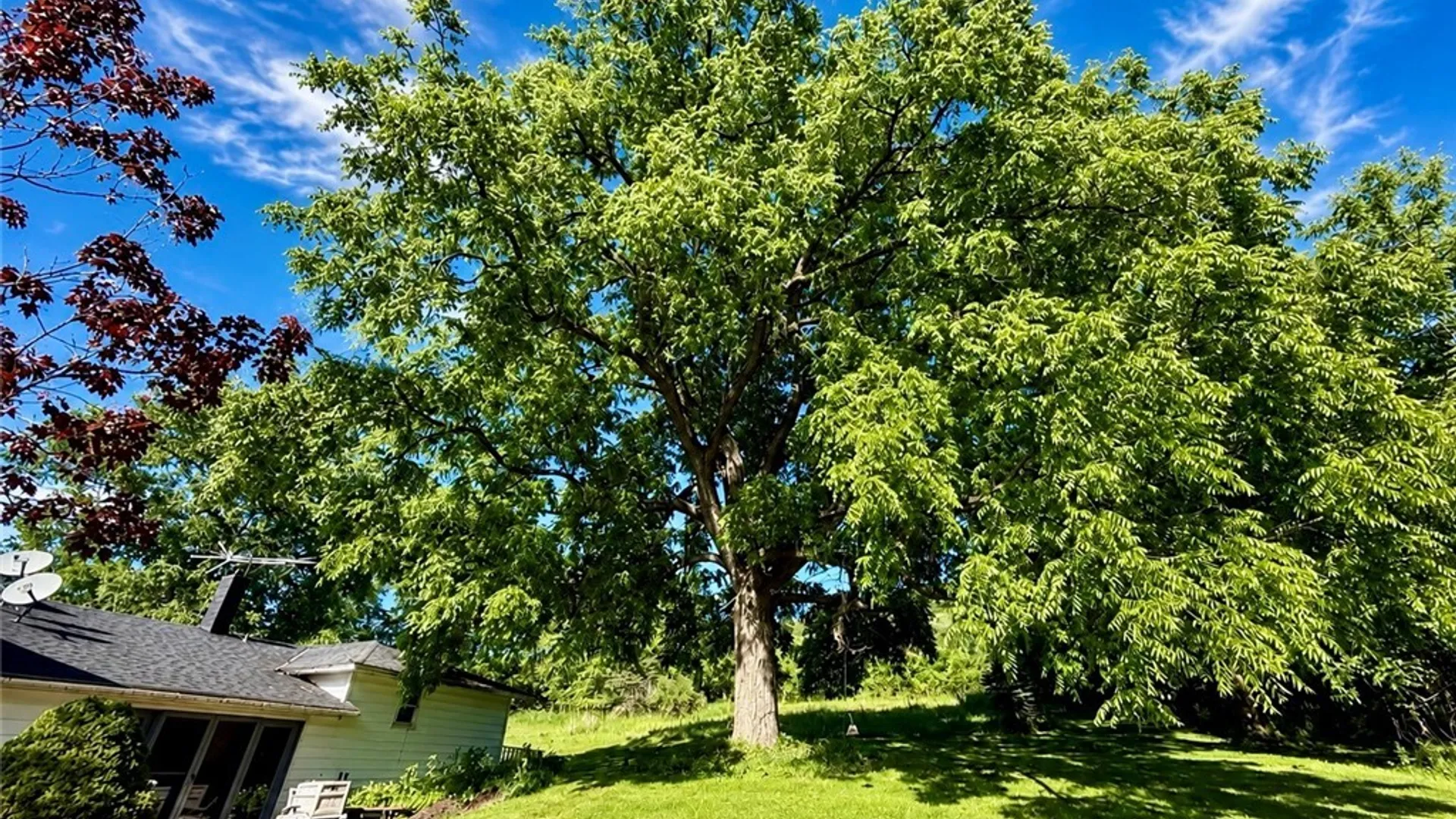 Property at 2582 Pompey Hollow Road, Pompey, NY 13035 49