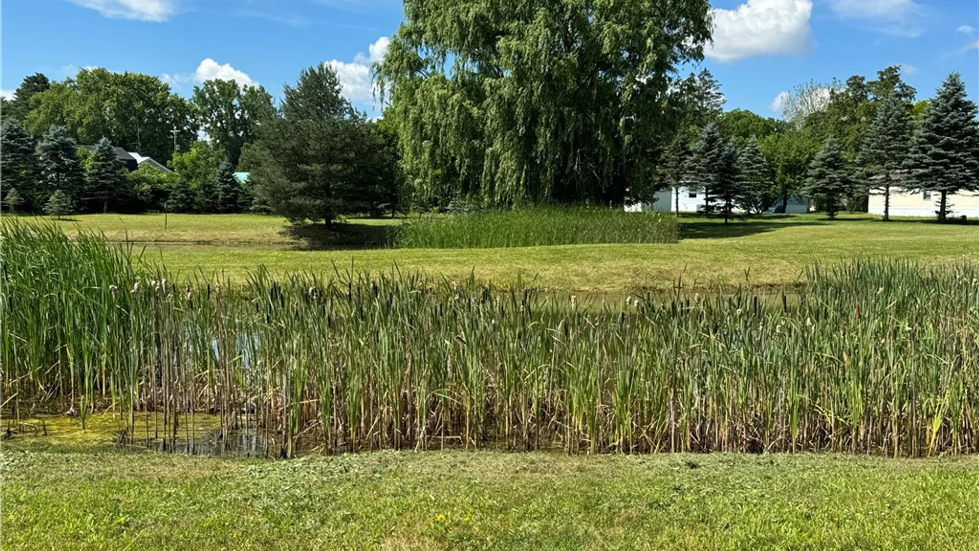 Property at 1021 Waterloo Geneva  #84 Road, Waterloo, NY 13165 19