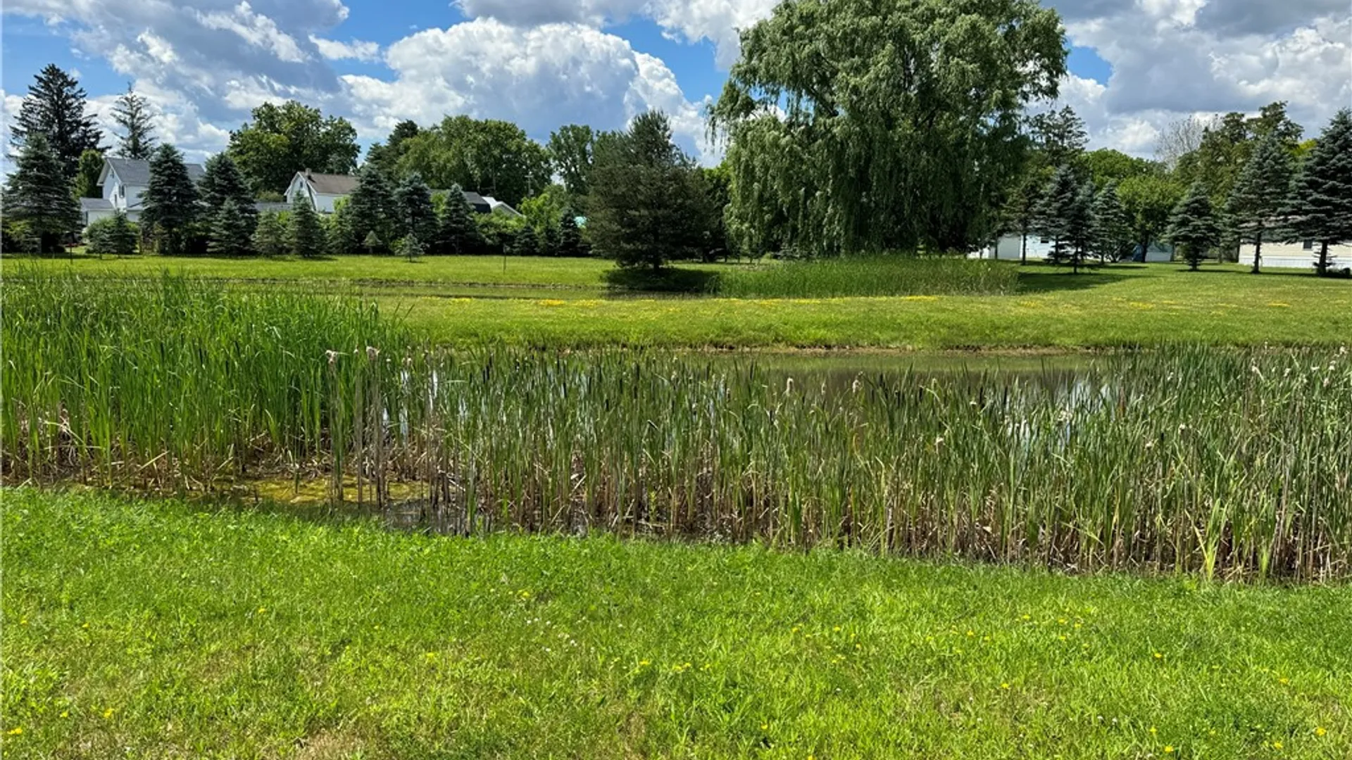 Property at 1021 Waterloo Geneva  #84 Road, Waterloo, NY 13165 3