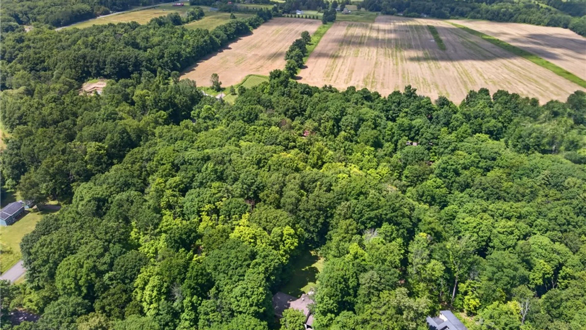 Property at 125 Vera Circle, Ithaca Town, NY 14850 47