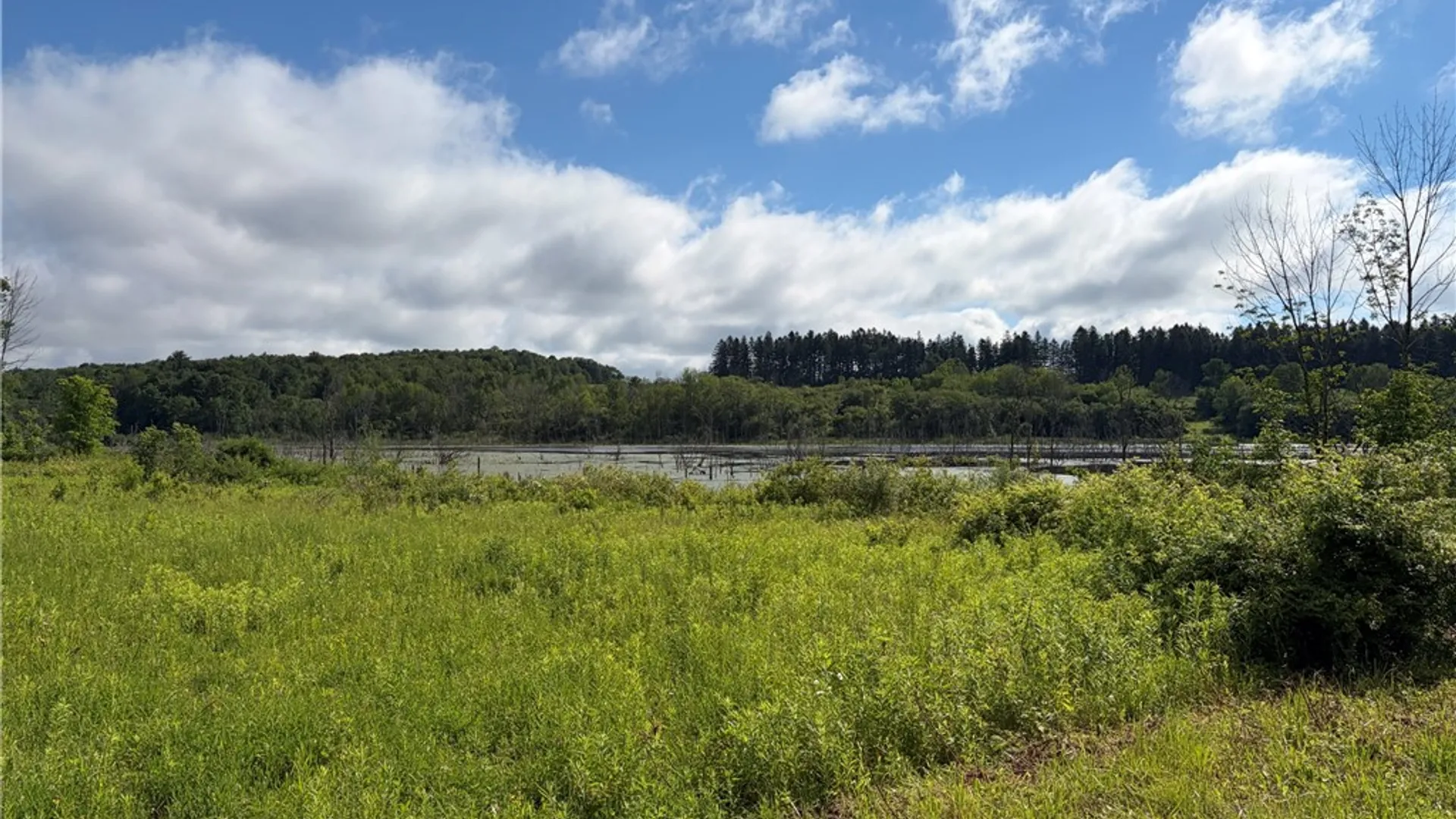 Property at VL & 7690 Banks Road, Pike, NY 14066 29