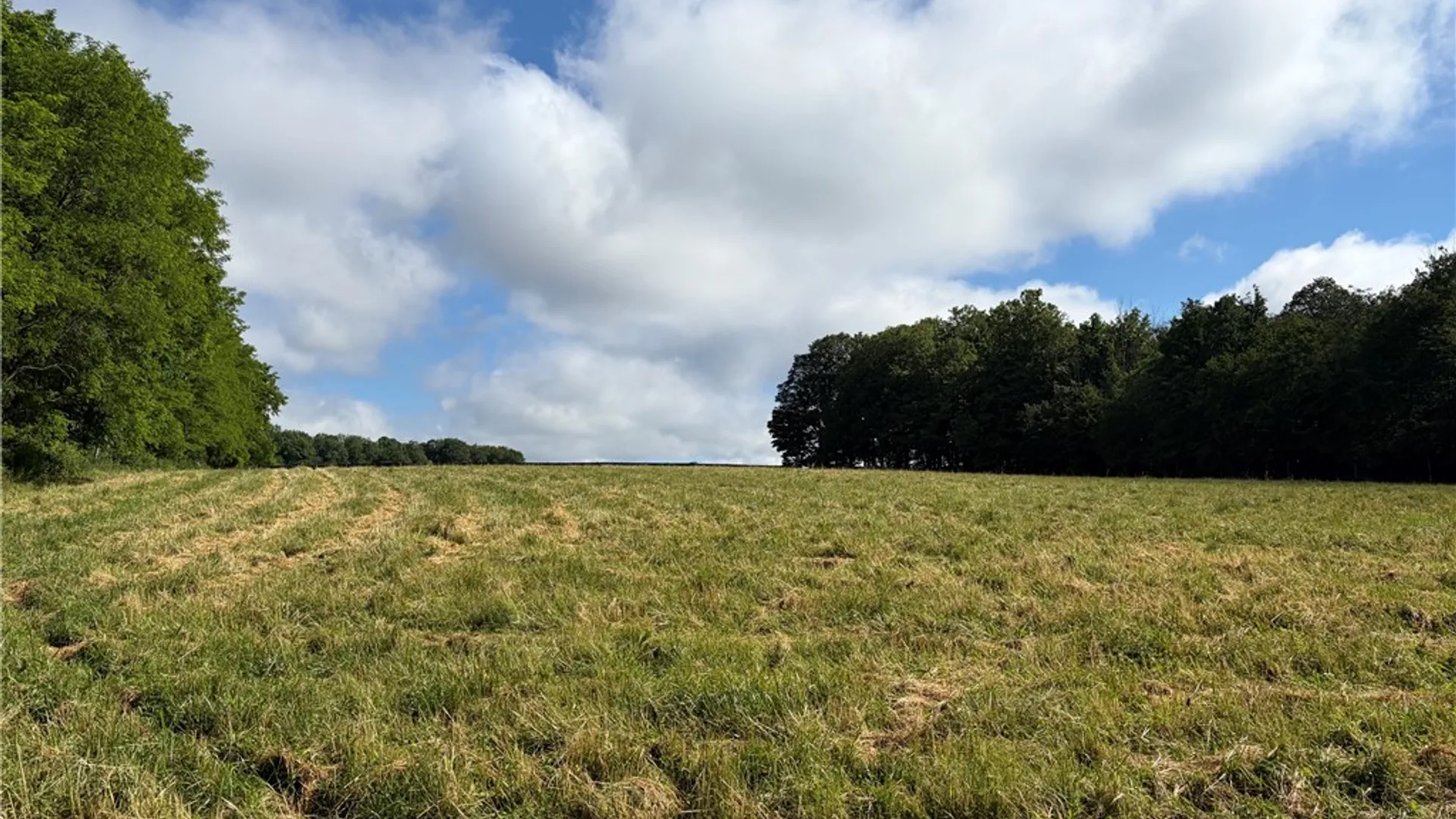 Property at VL & 7690 Banks Road, Pike, NY 14066 42