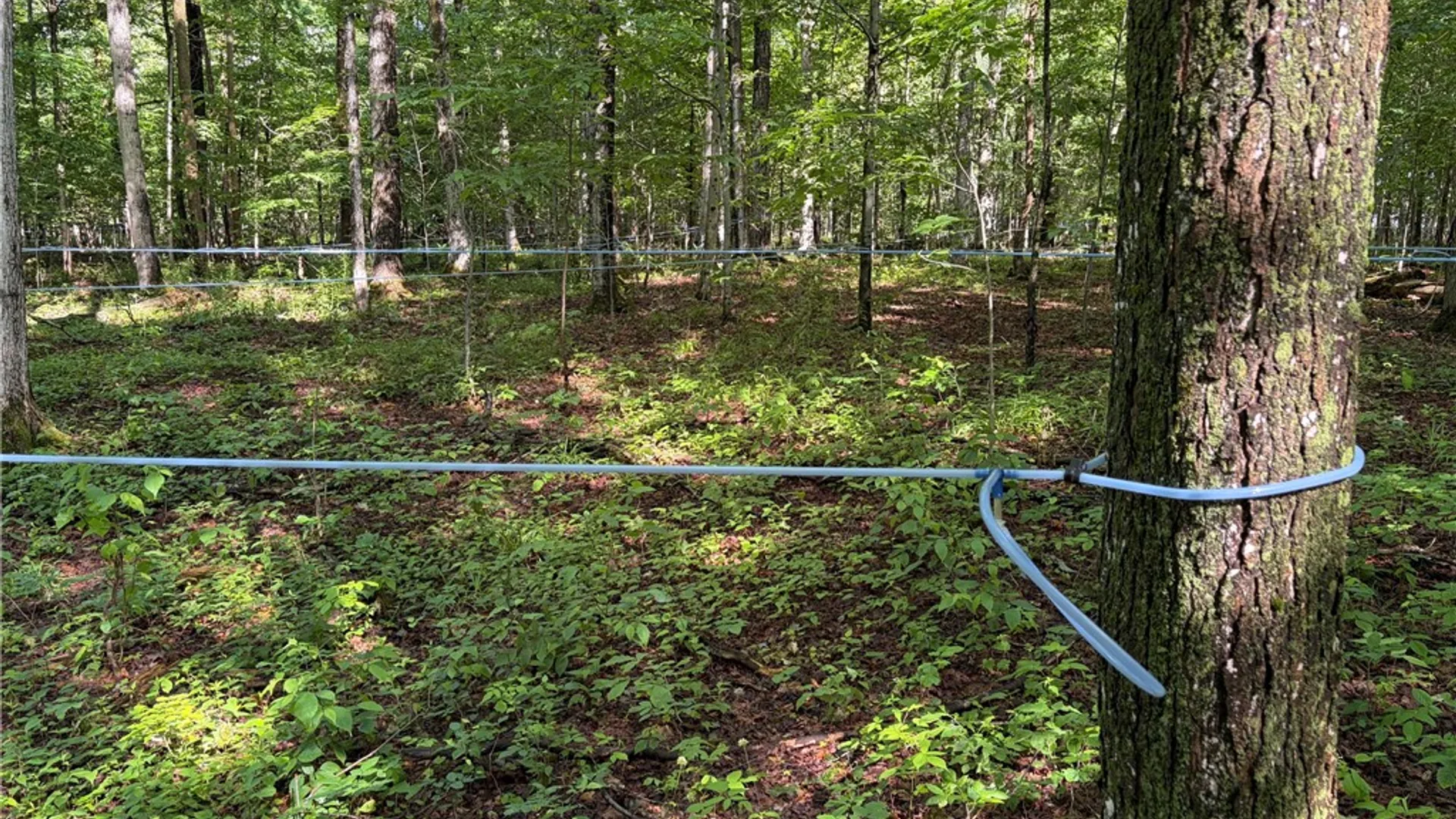 Property at VL & 7690 Banks Road, Pike, NY 14066 44