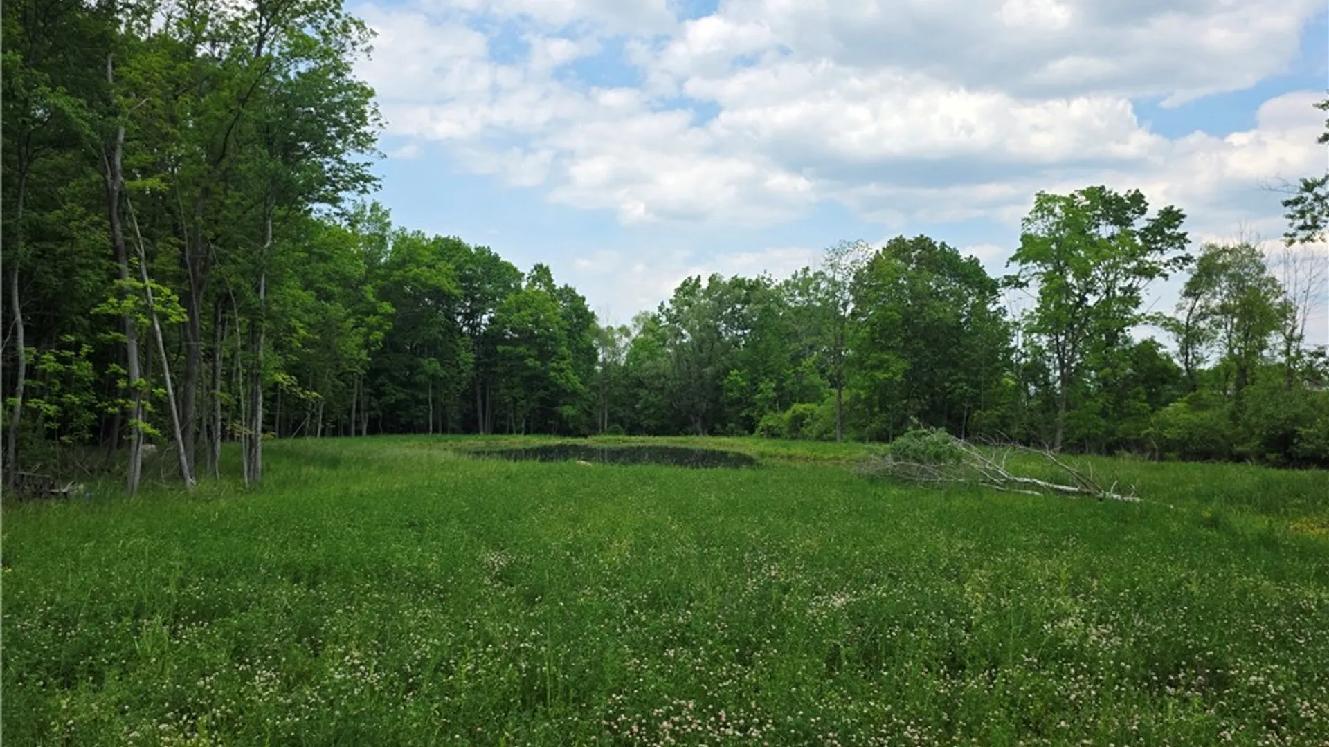 Property at 6221 Cleary Road, Livonia, NY 14487 5