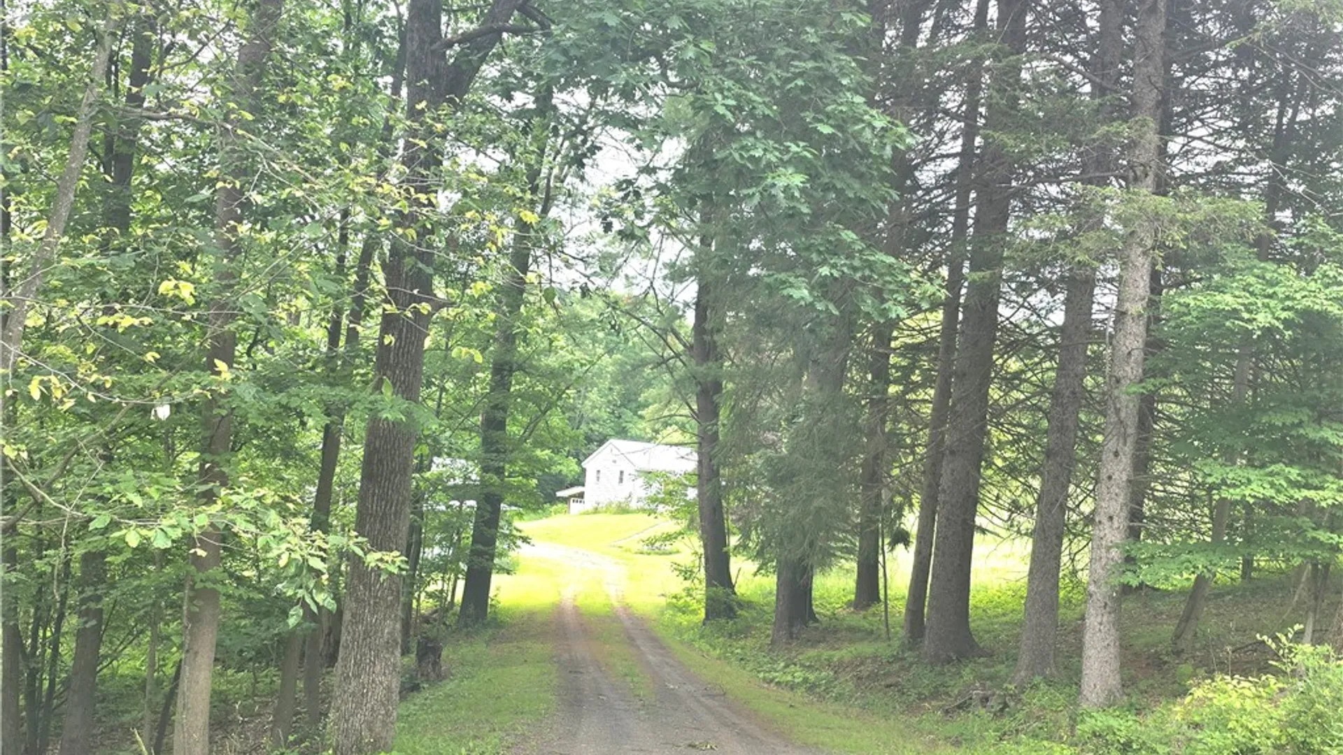 Property at 171 Haskins Road, Erin, NY 14838 2